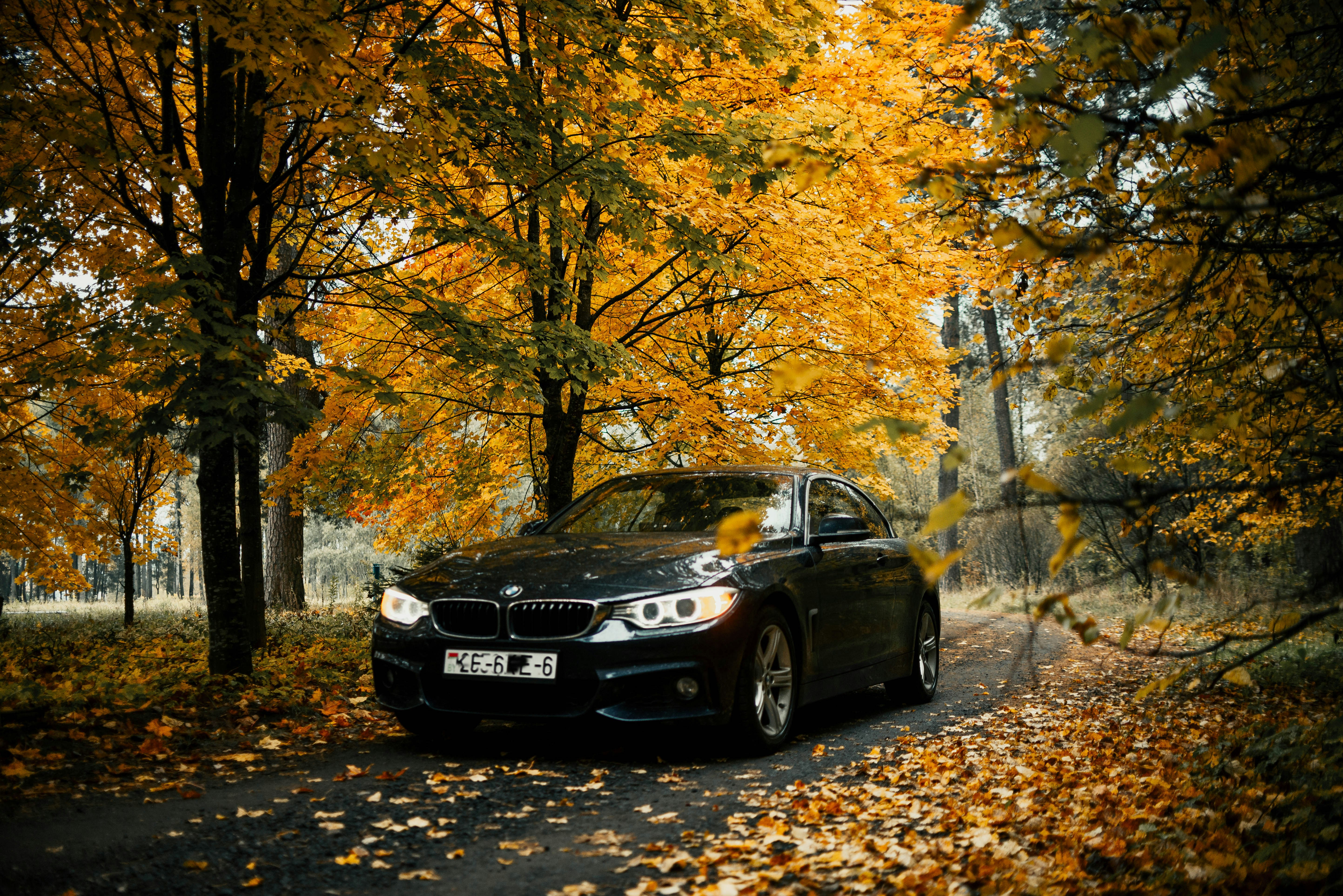 Black car parked on a leaf-covered road in autumn.