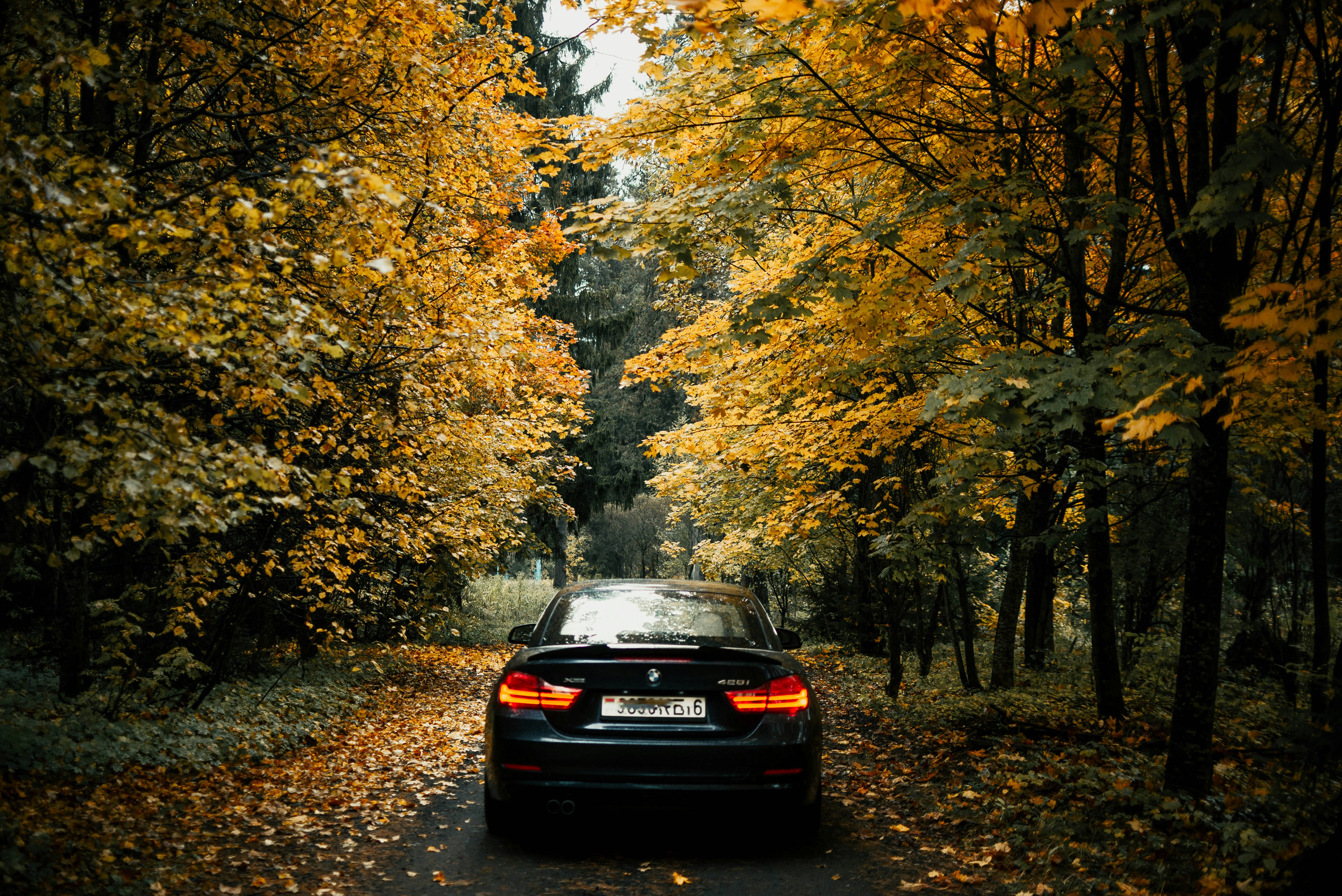 Photo by yauhenihancharenka