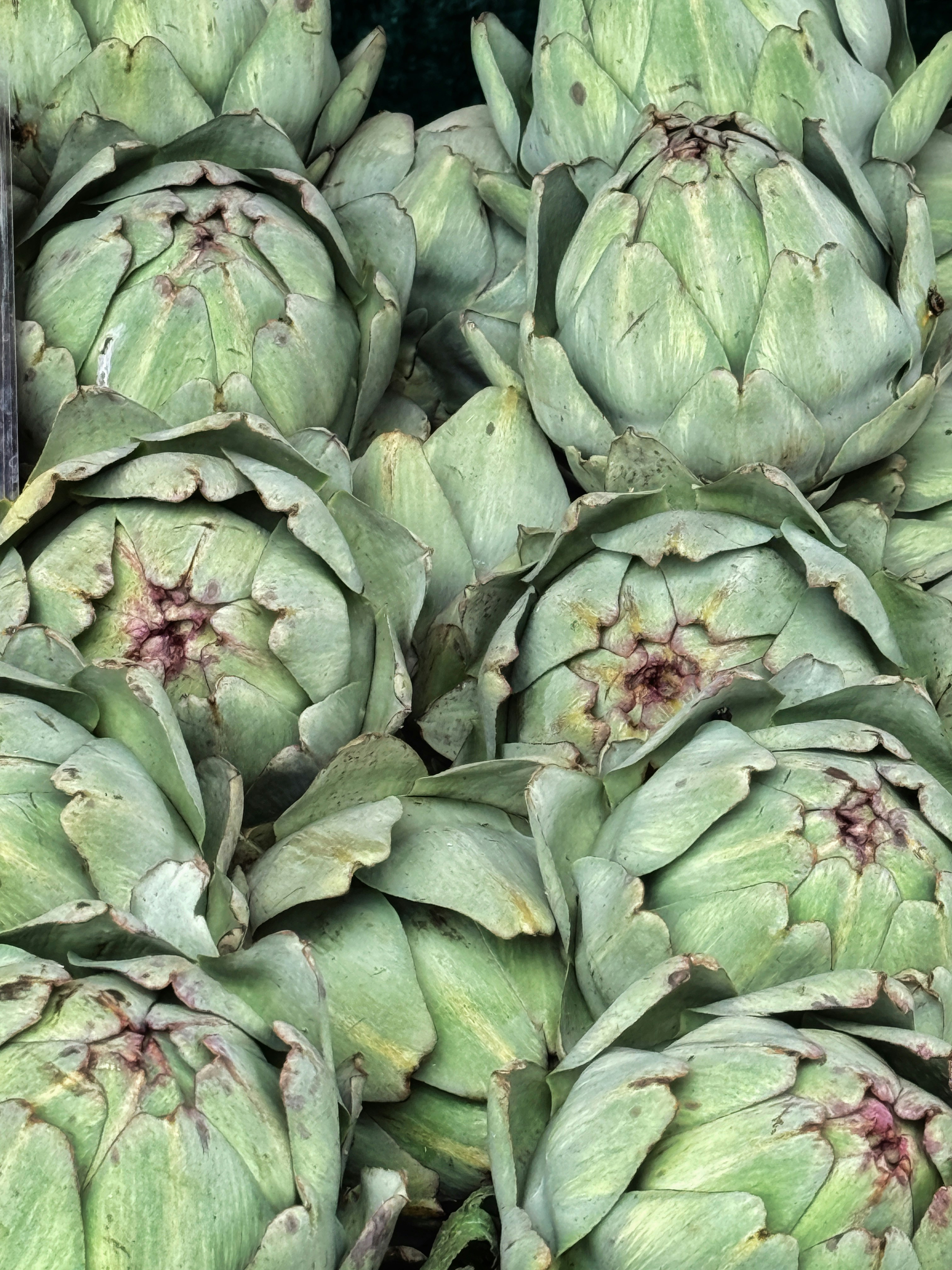 A pile of fresh green artichokes