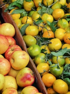 Alimentation