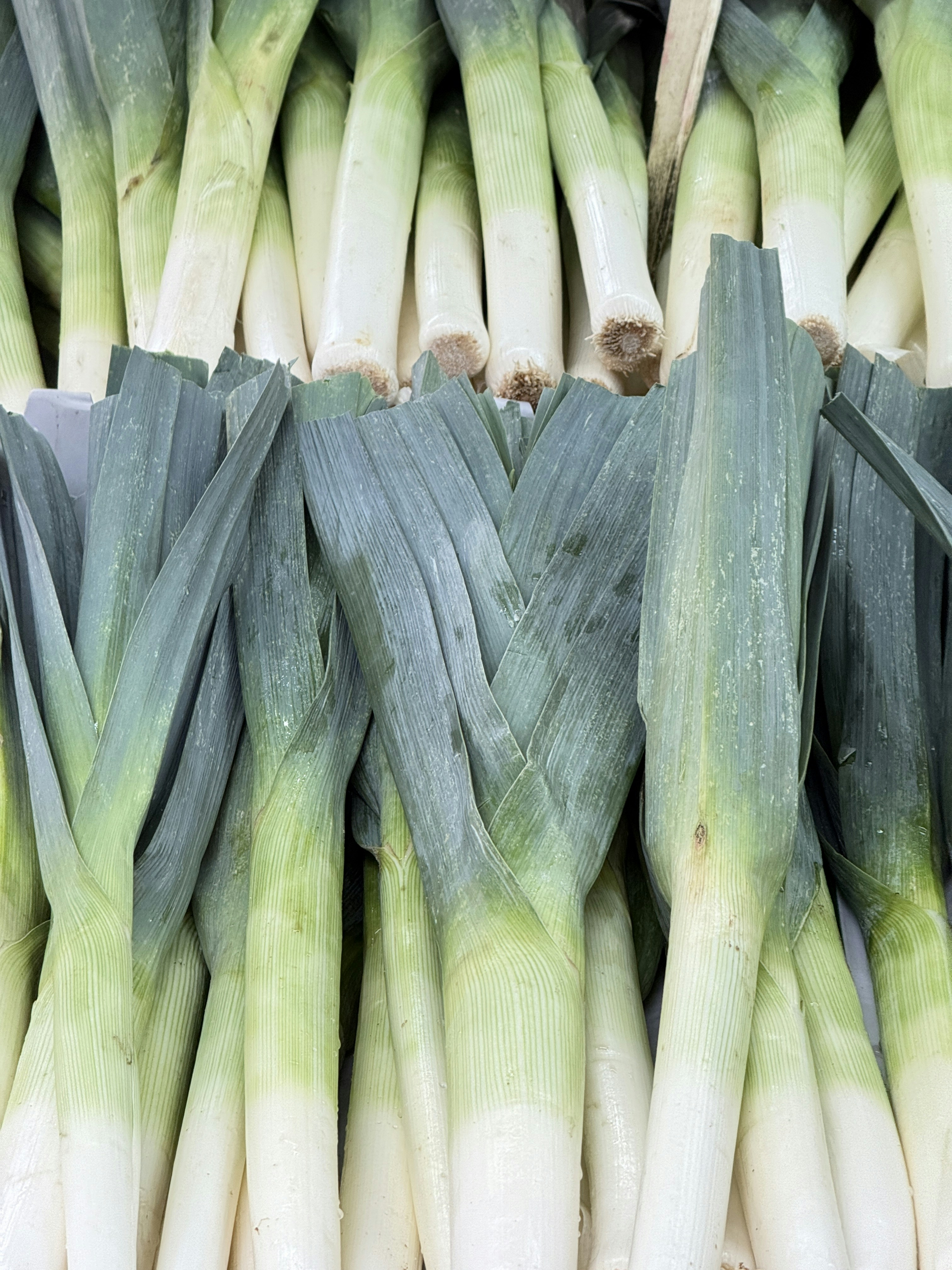 Fresh leeks stacked closely together, ready for sale.