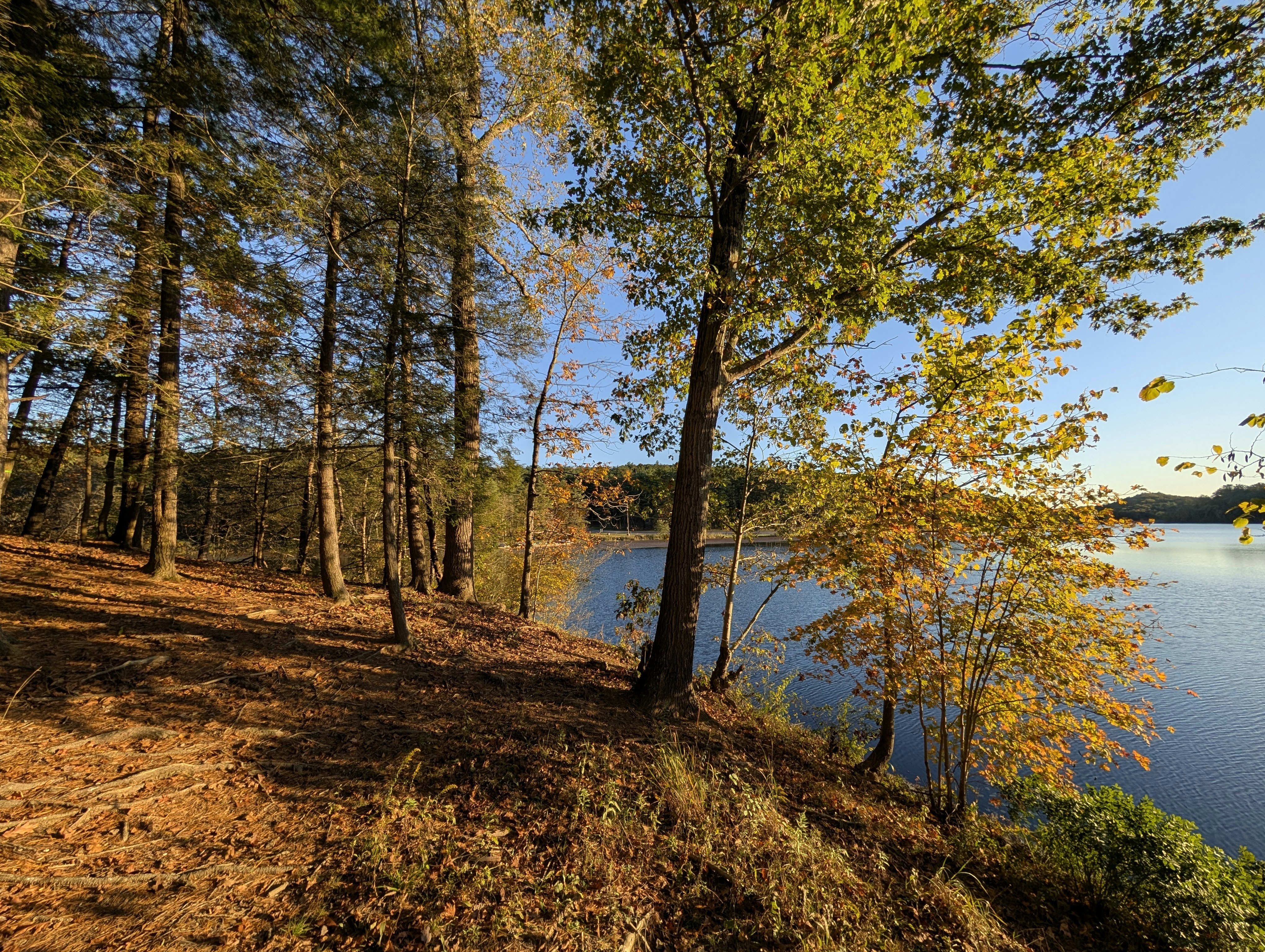 Photo by sourajitk