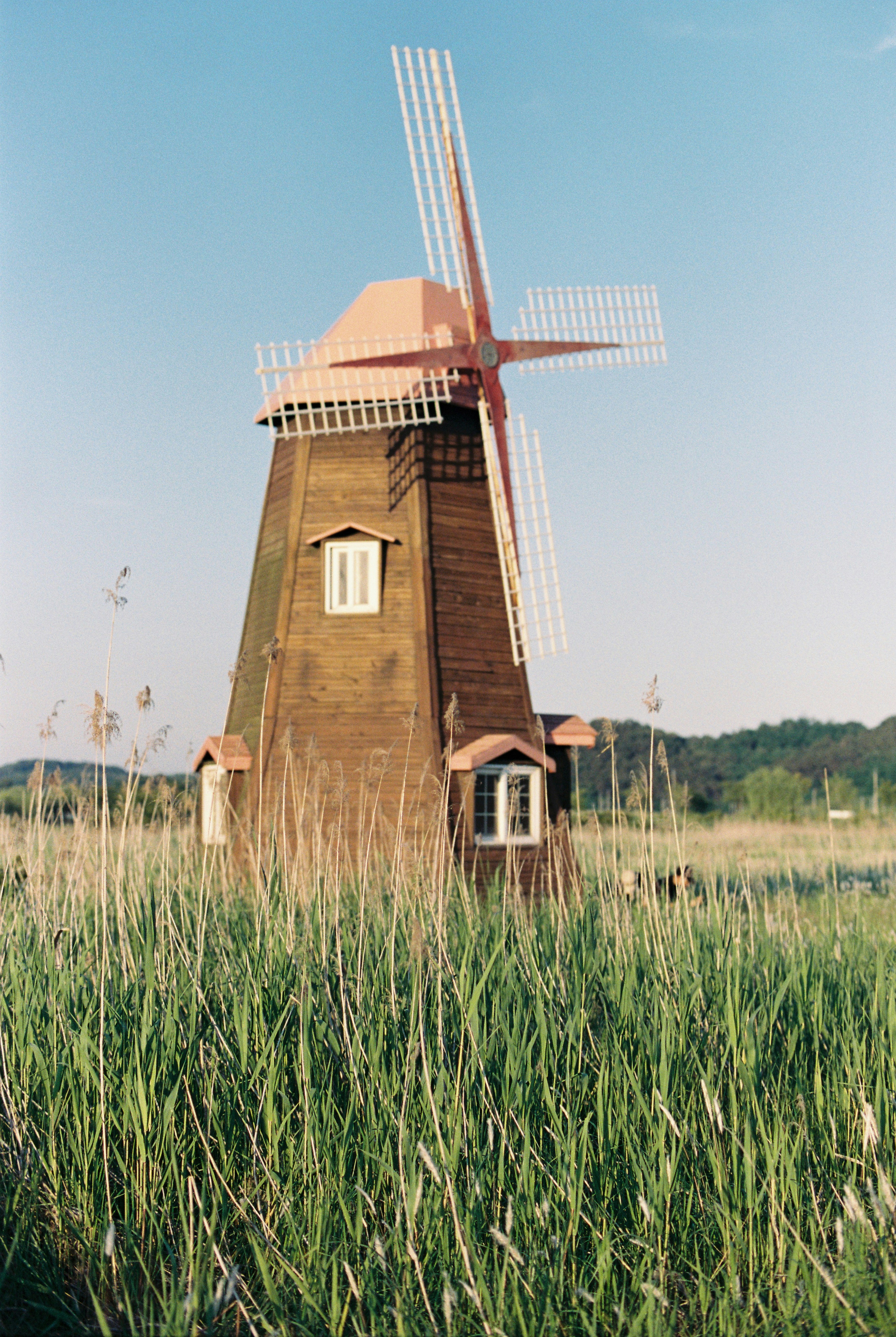 Wooden windmill stands in tall green grass.