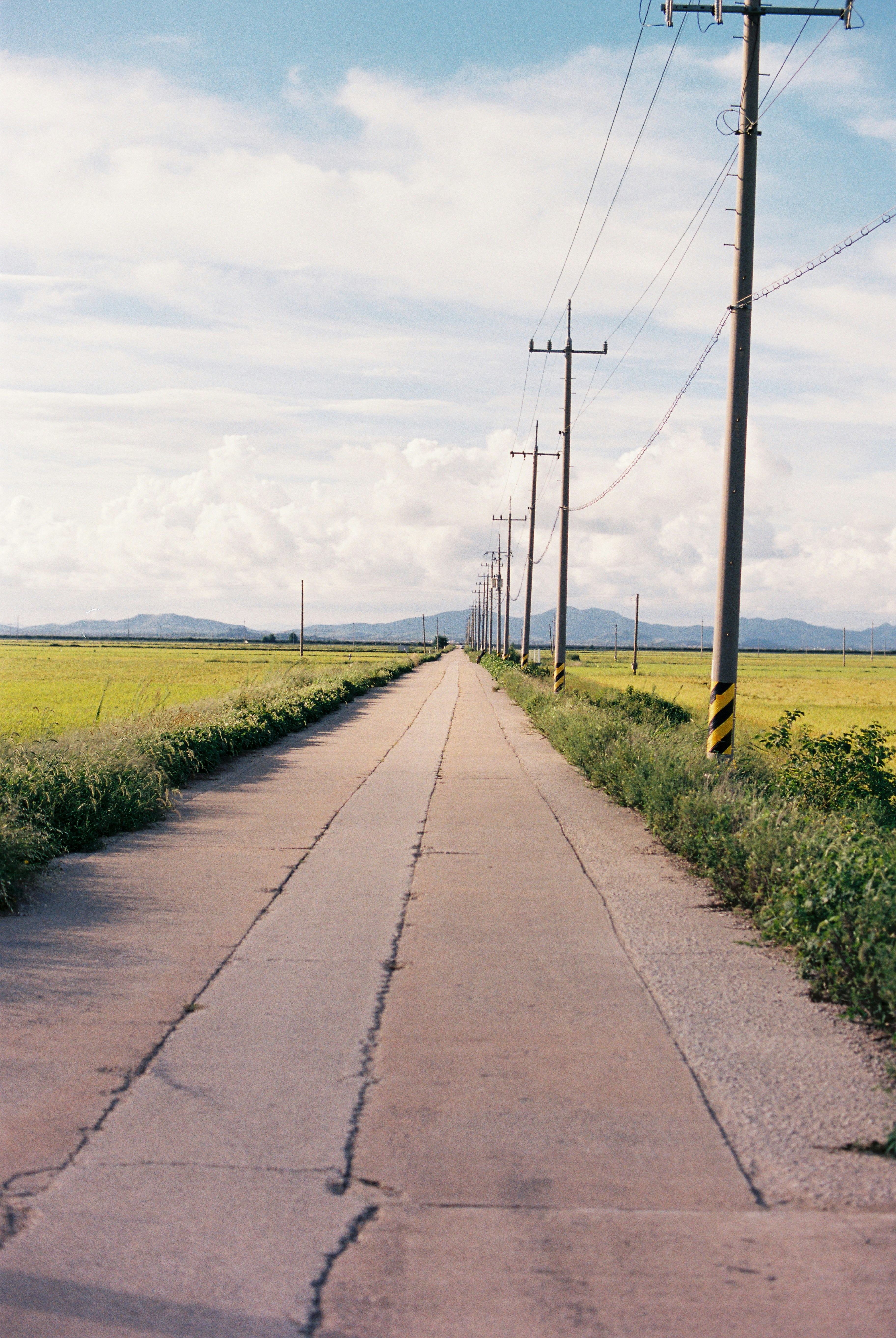 A long, straight road lined with telephone poles.