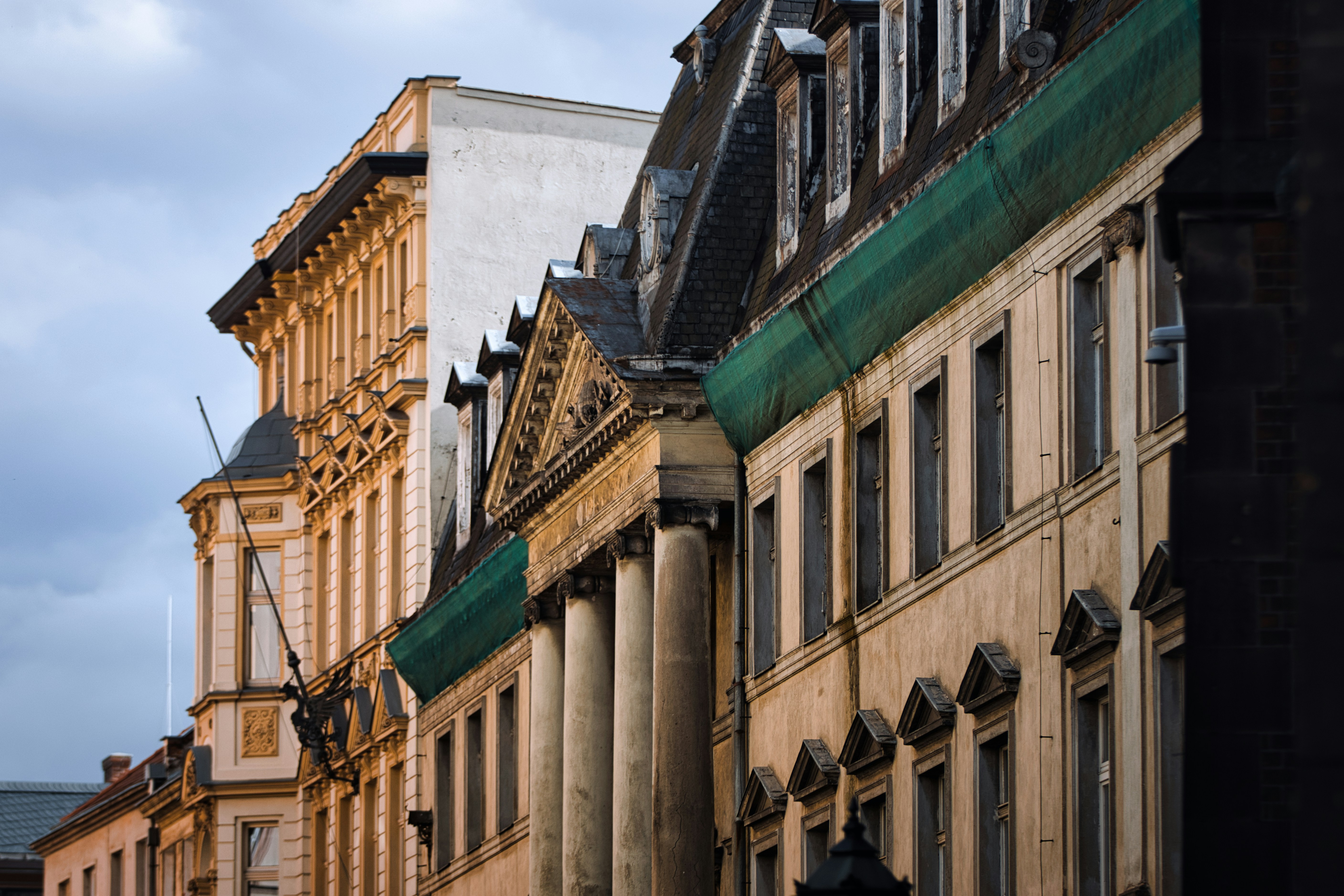 Photo by paws_and_prints