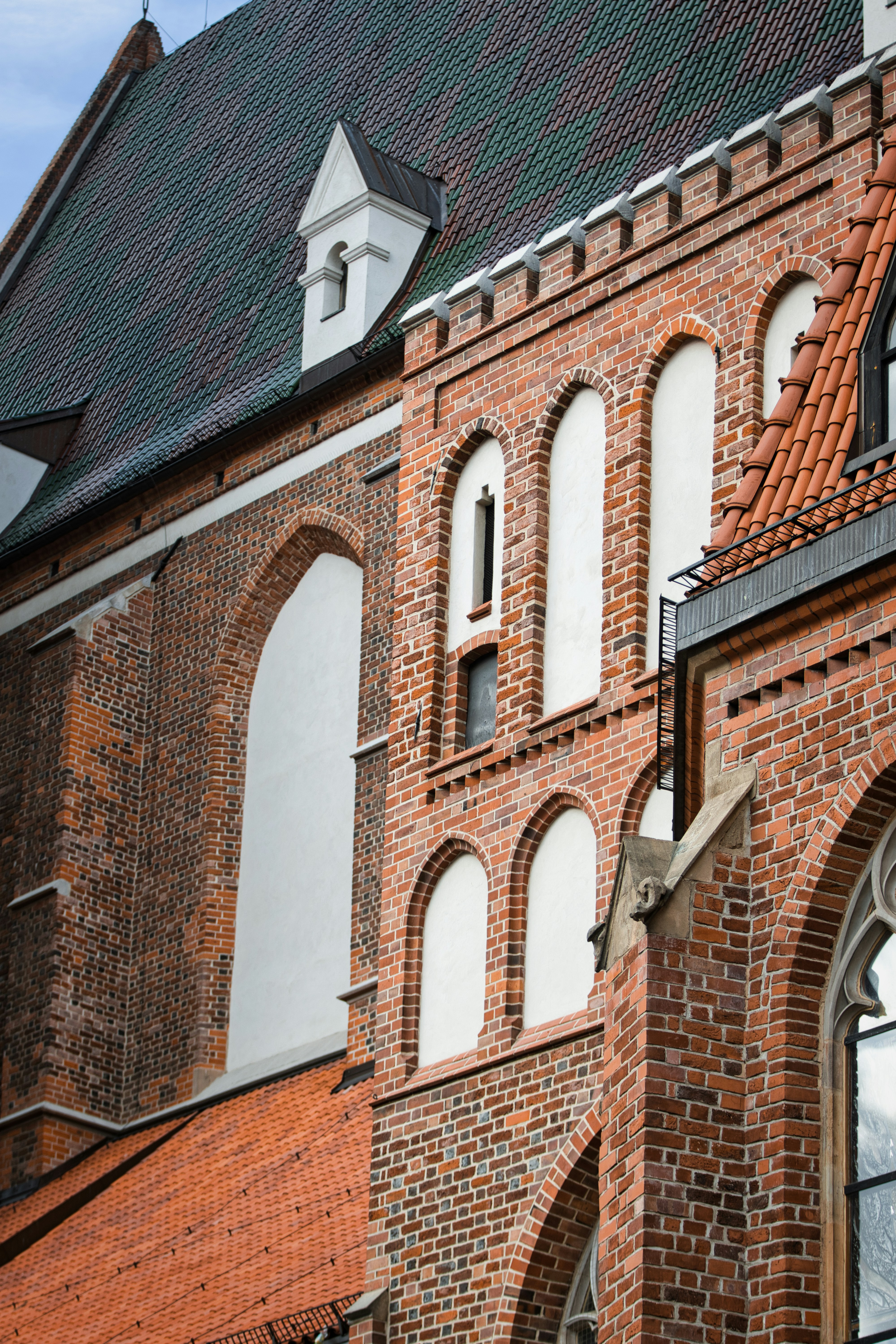 Photo by paws_and_prints