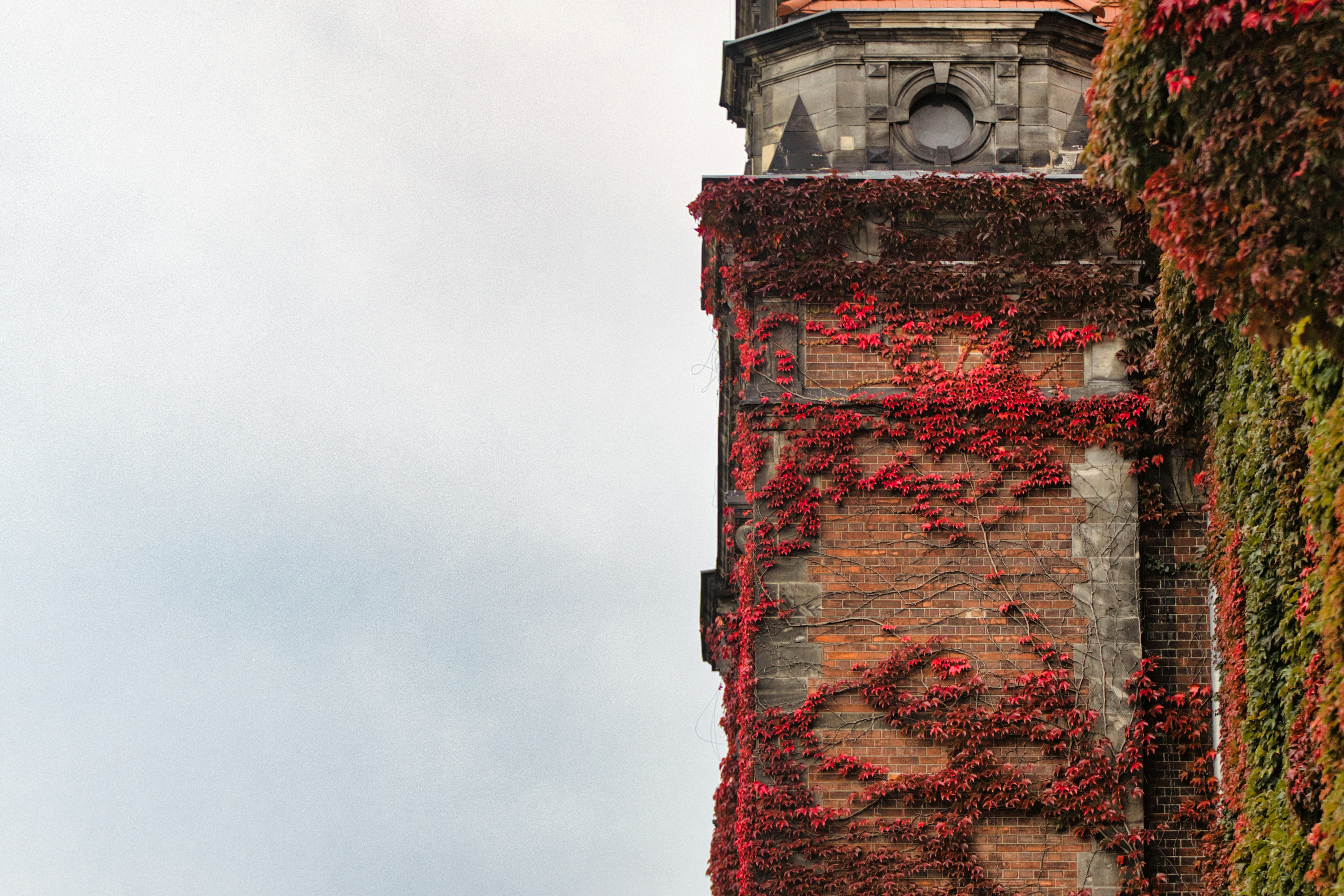 Photo by paws_and_prints