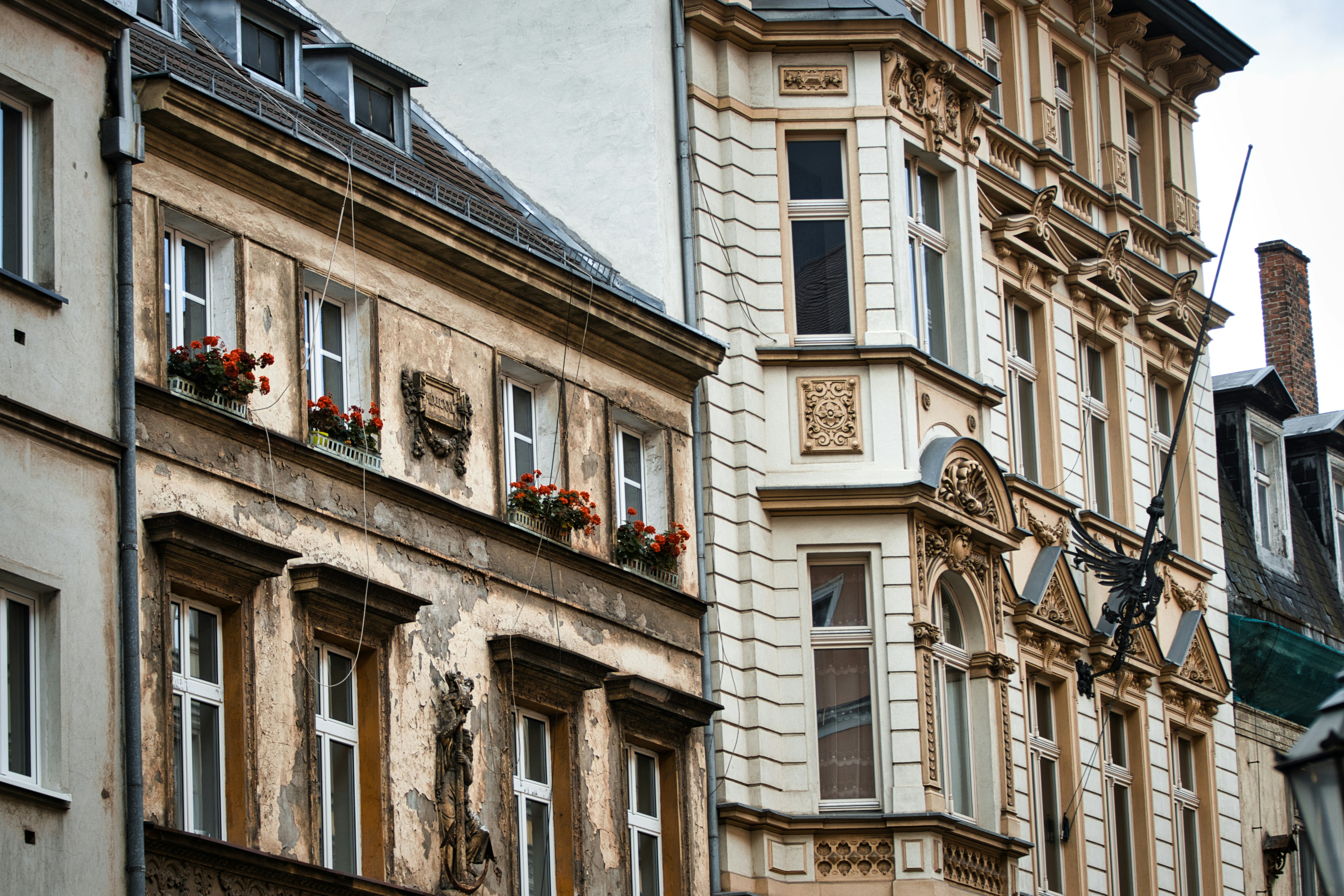 Photo by paws_and_prints