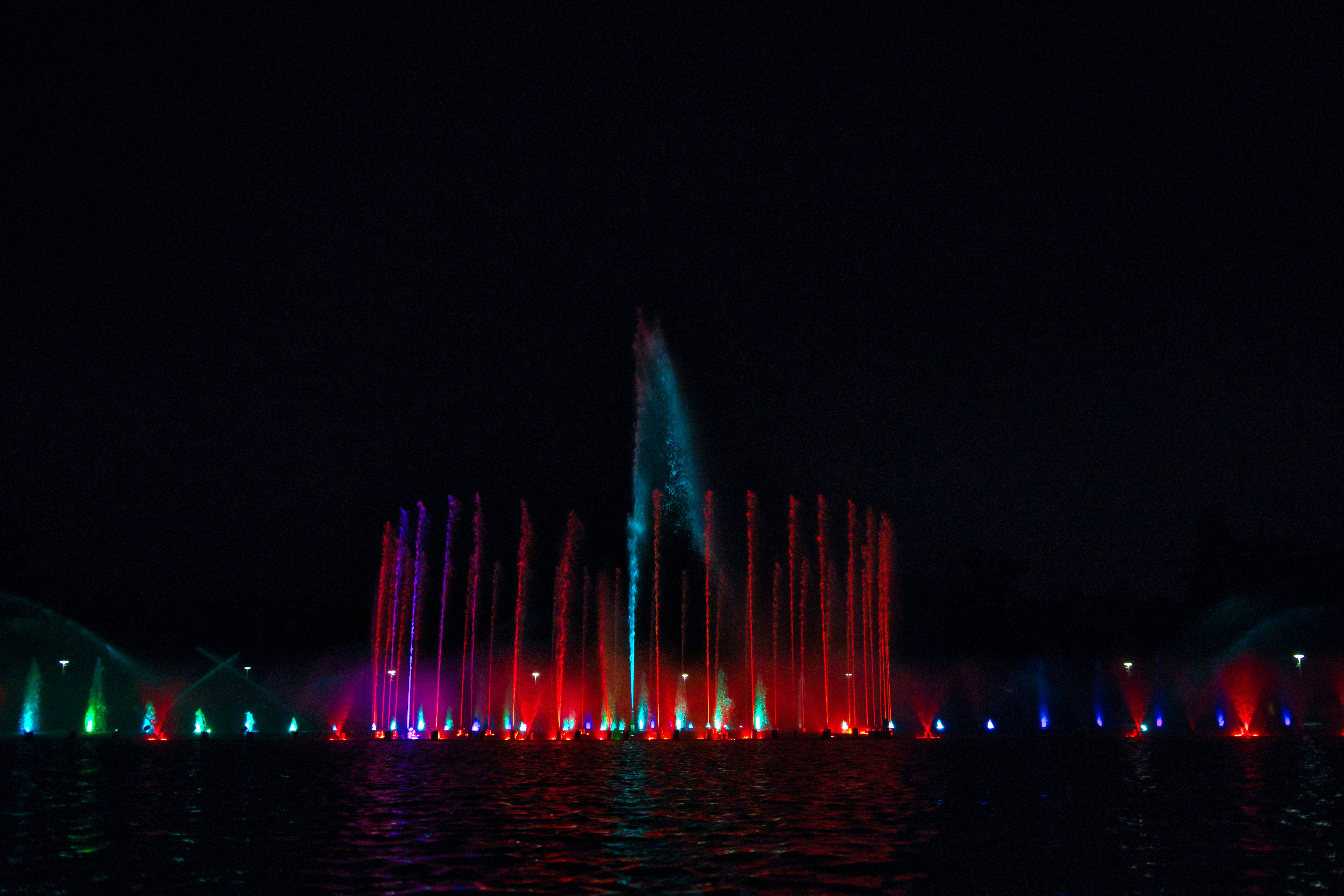 Photo by paws_and_prints