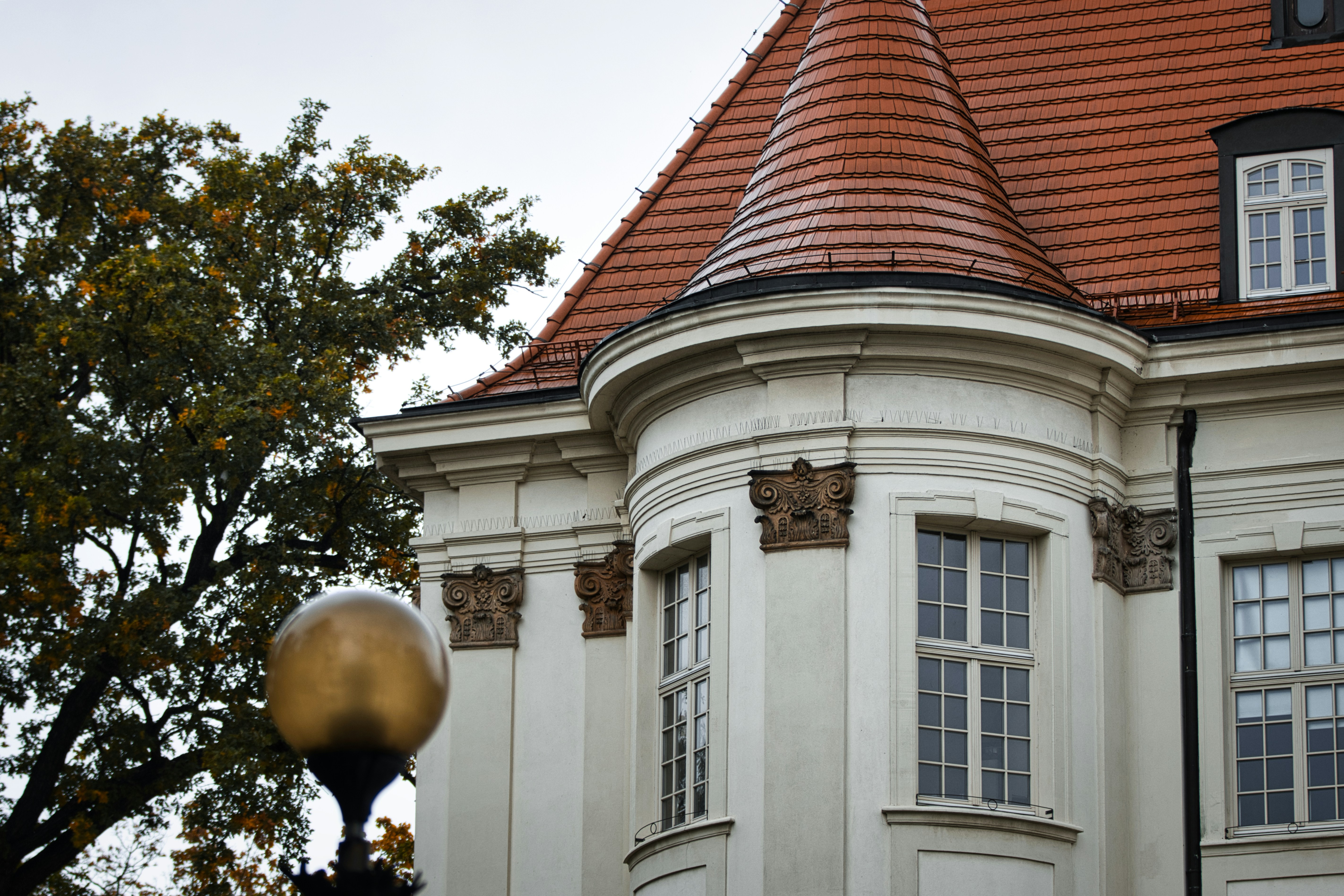 Photo by paws_and_prints