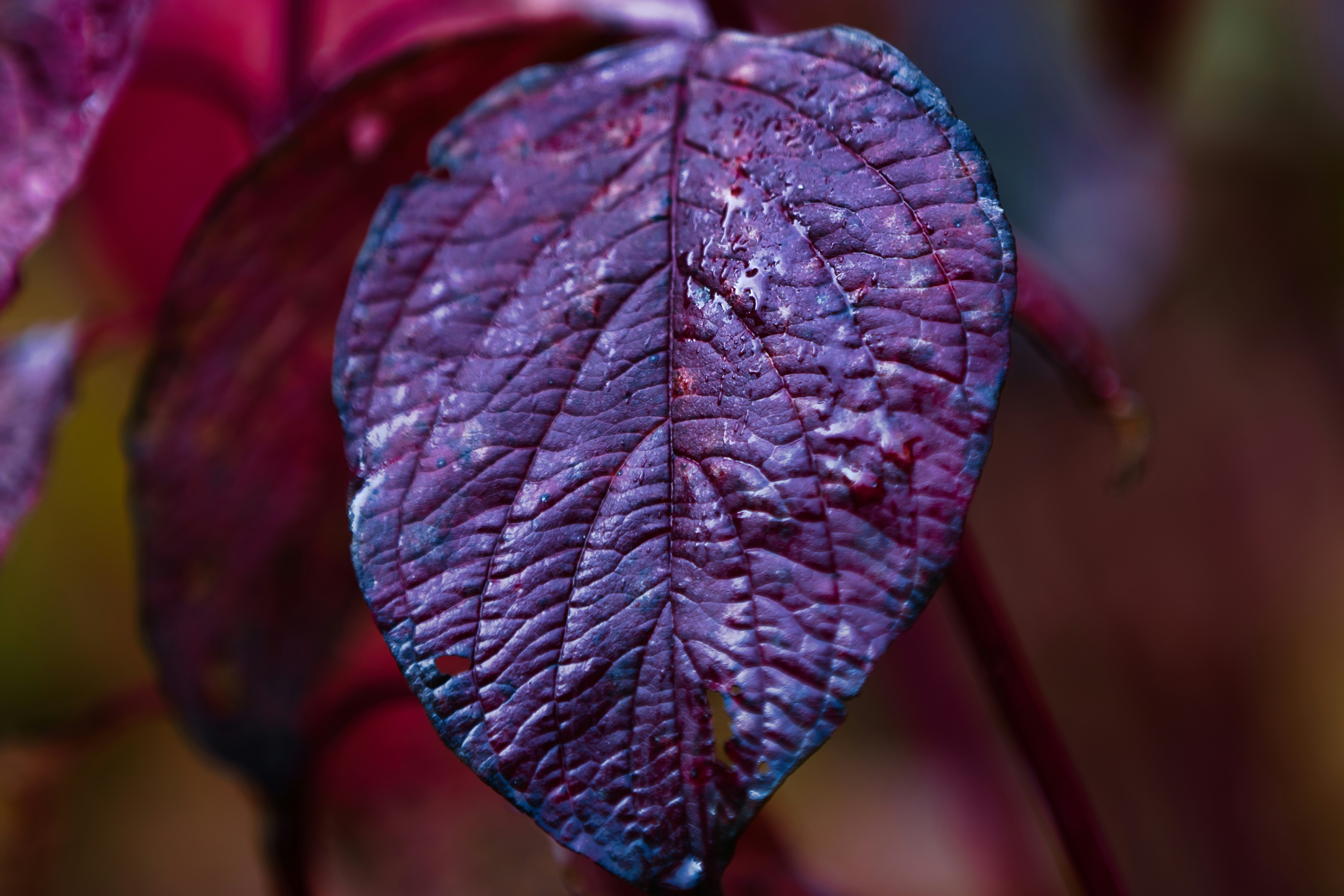 Photo by paws_and_prints