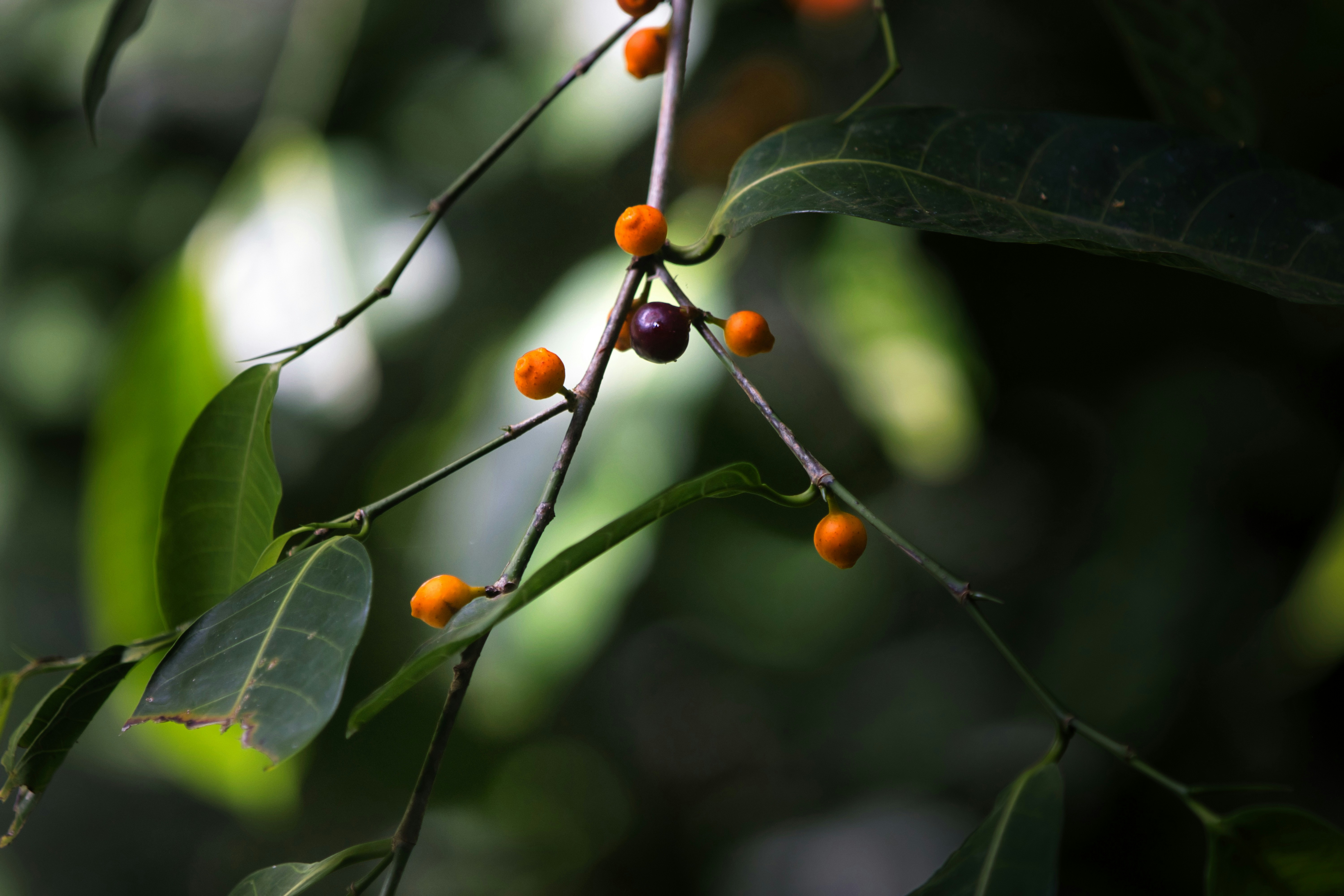 Photo by paws_and_prints