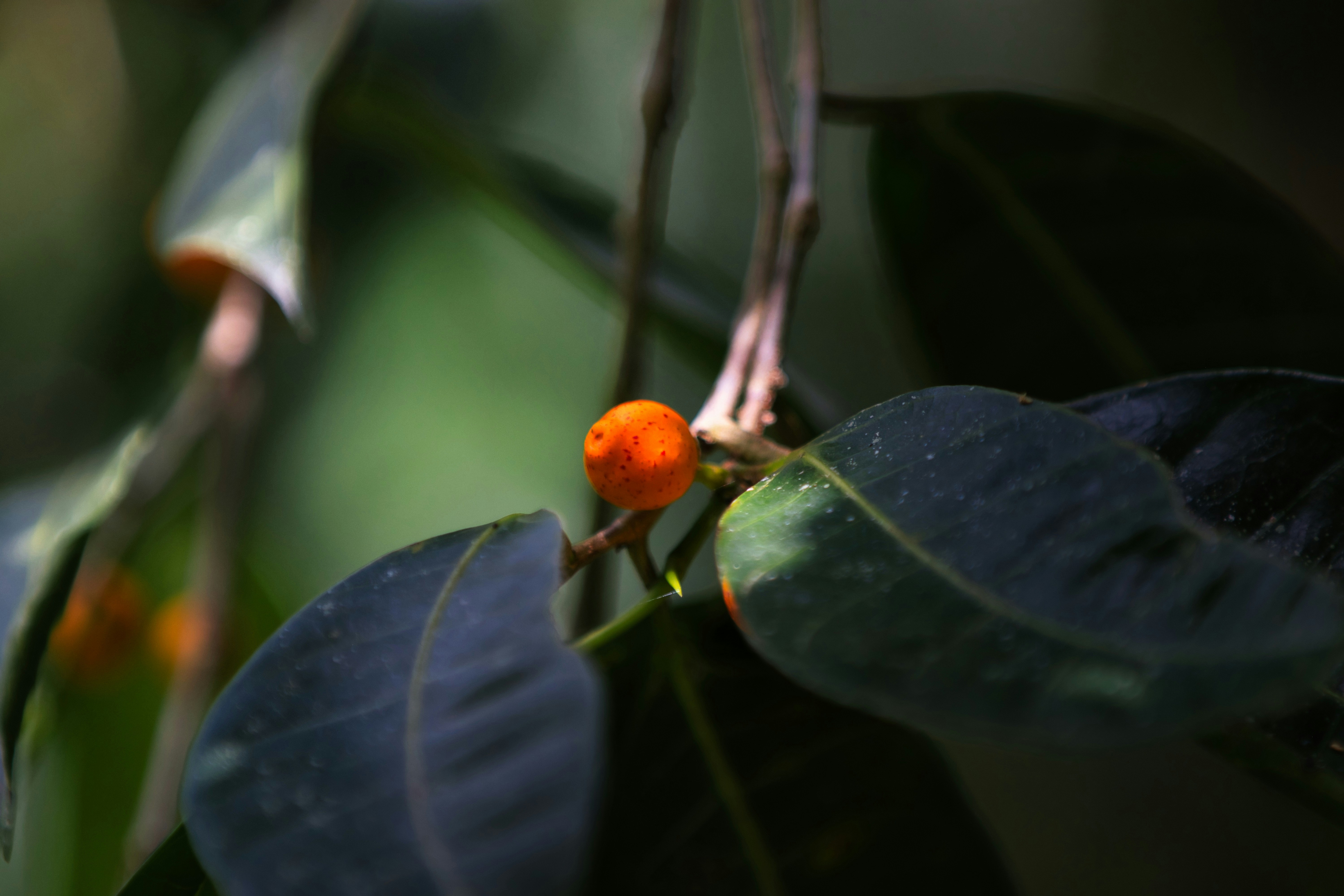 Photo by paws_and_prints