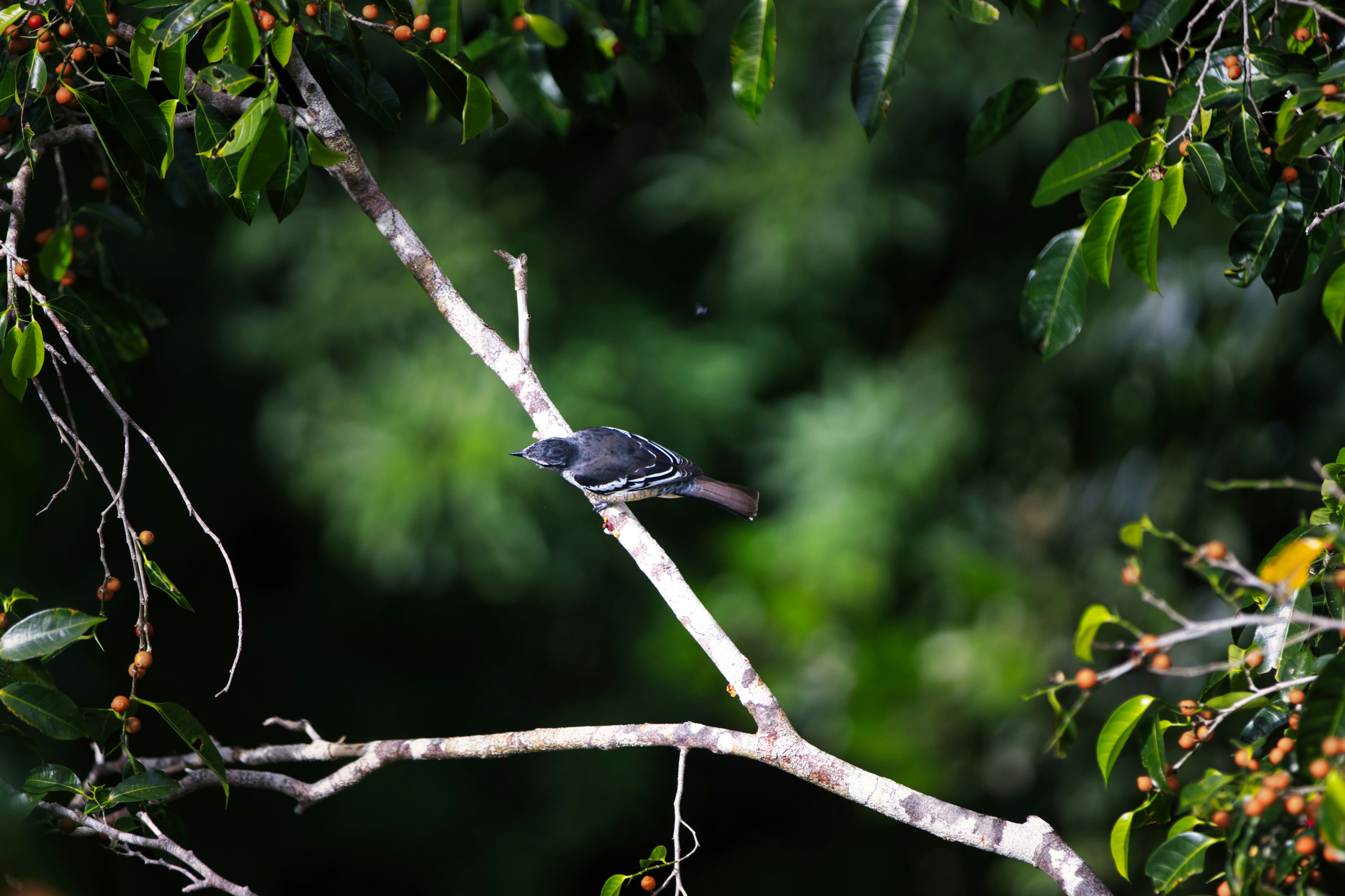 Photo by paws_and_prints