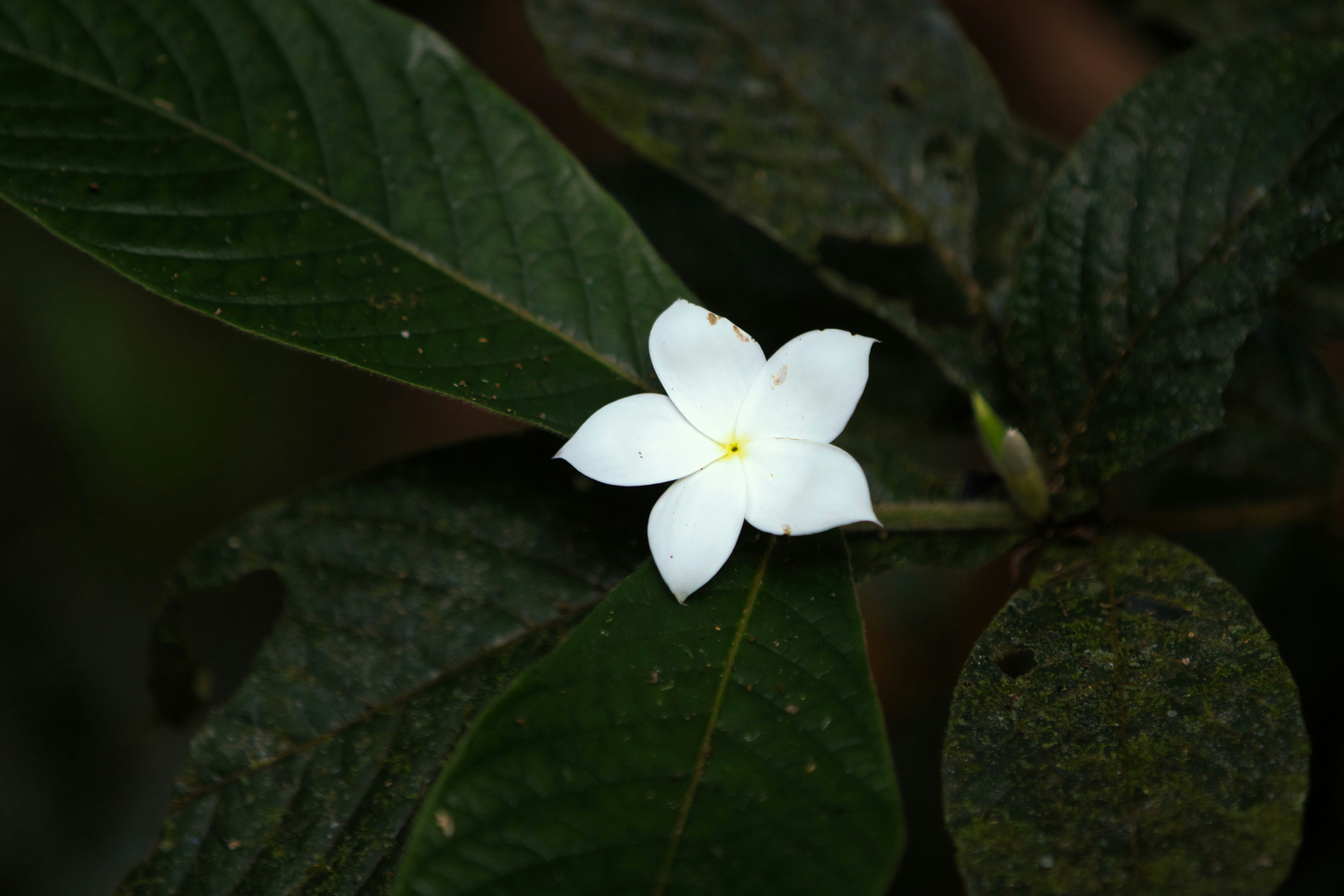 Photo by paws_and_prints