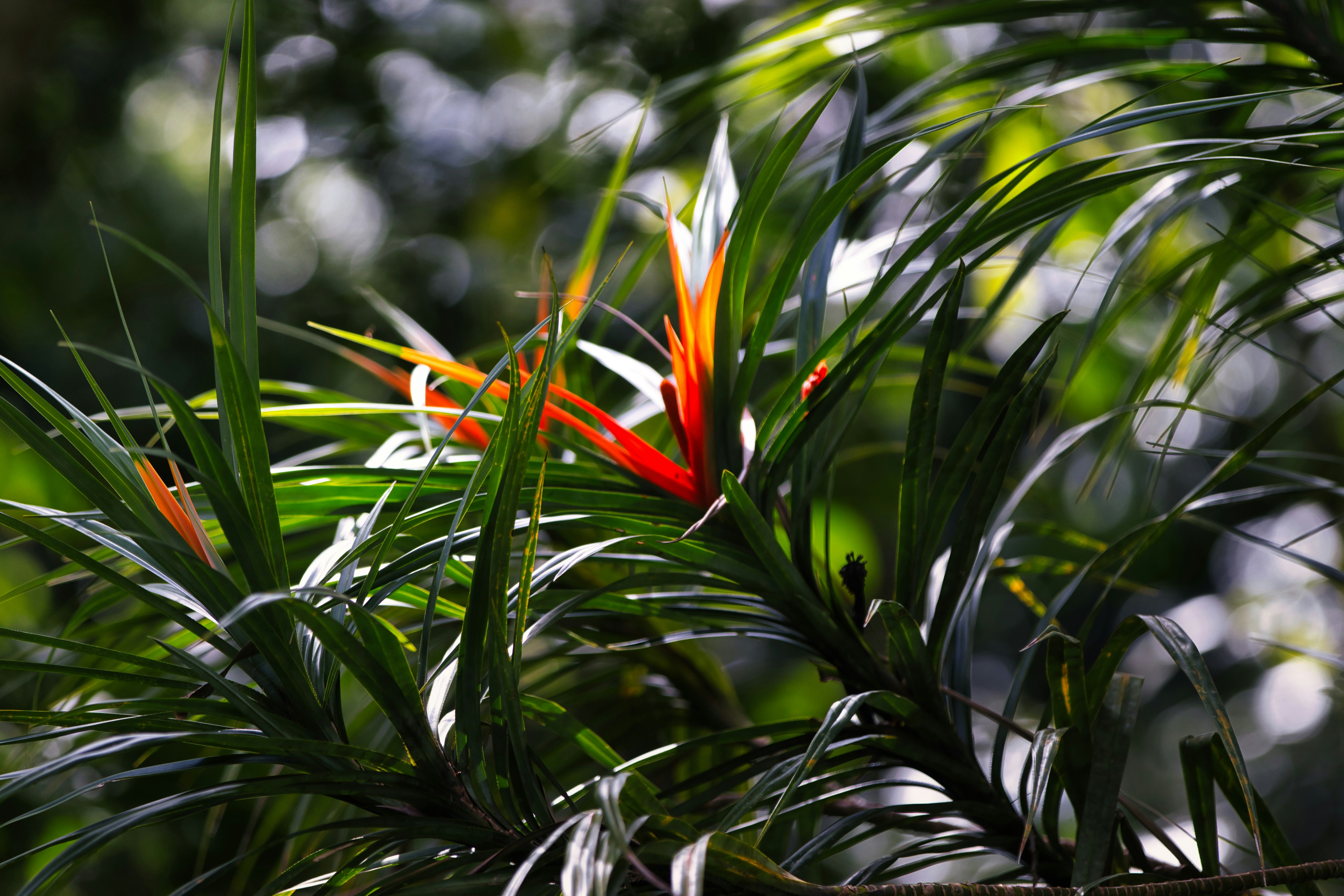 Photo by paws_and_prints