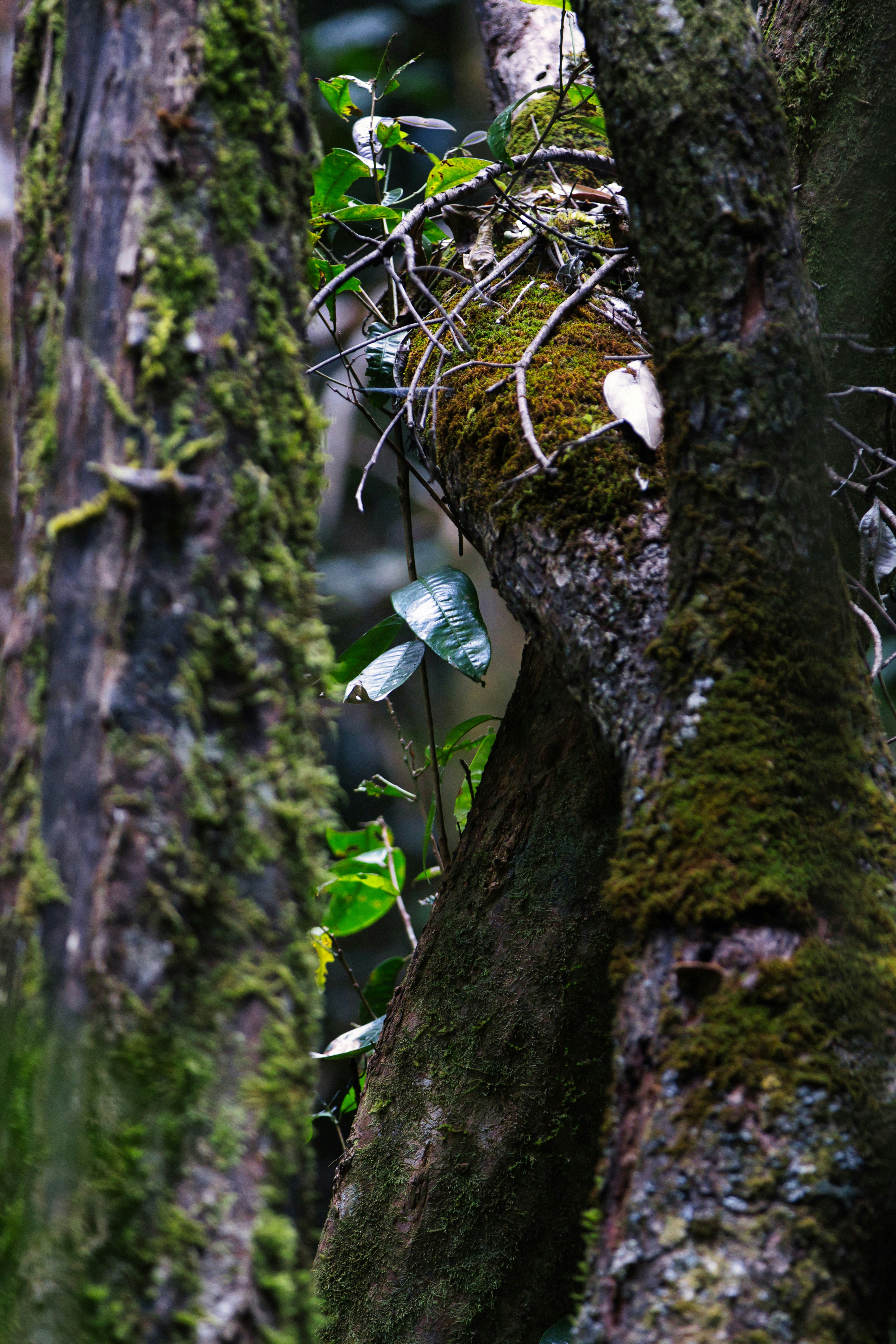 Photo by paws_and_prints