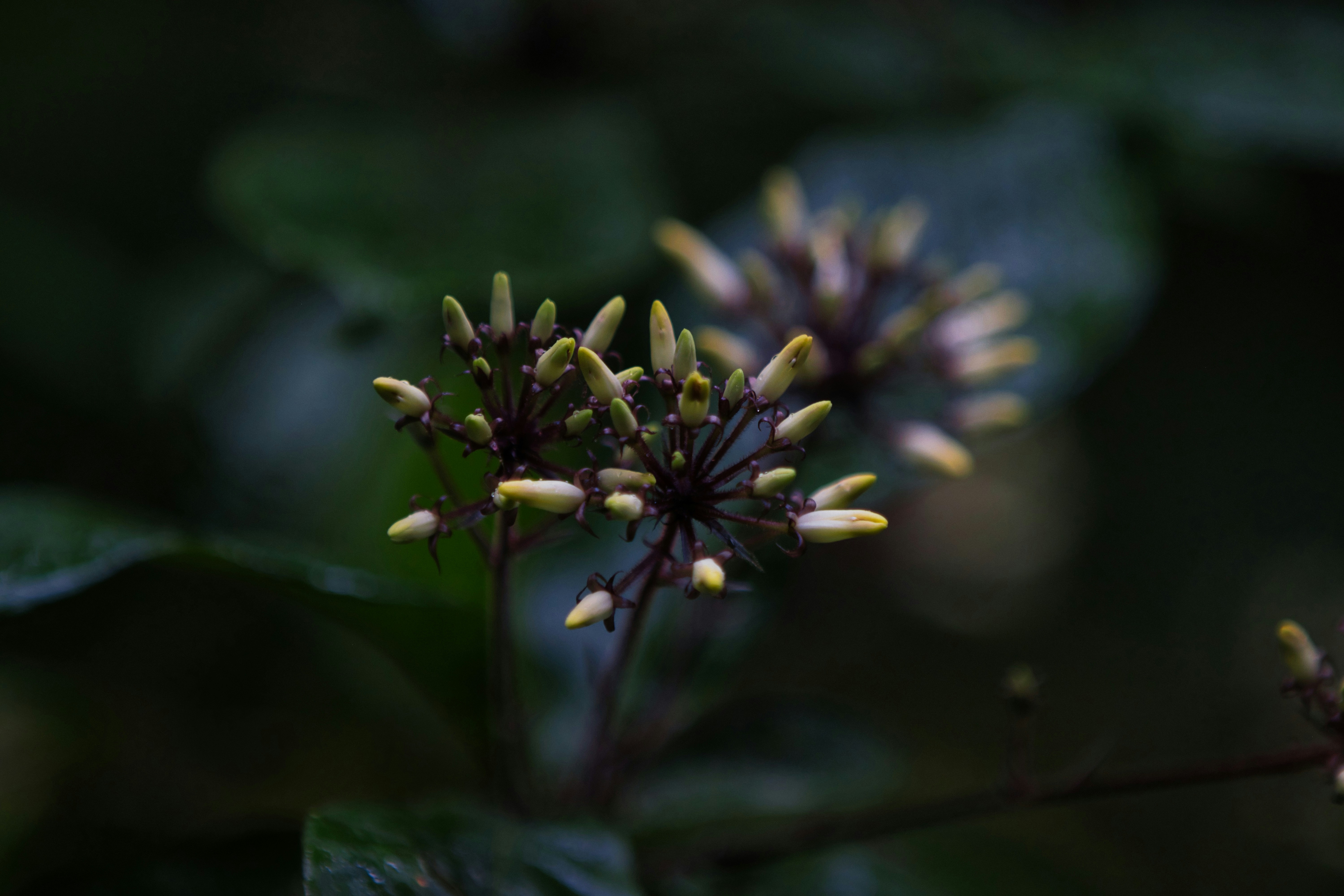 Photo by paws_and_prints