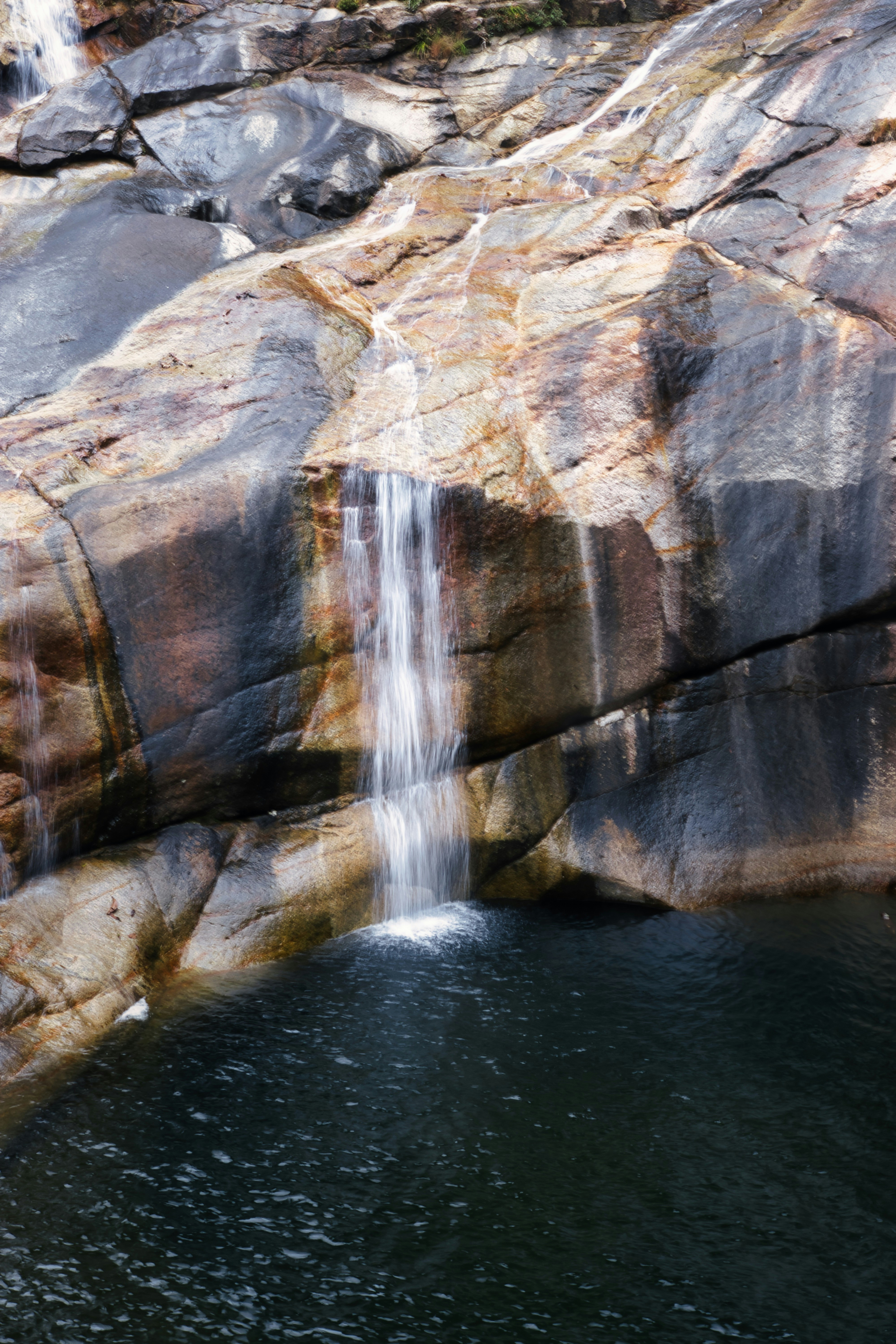 Photo by paws_and_prints