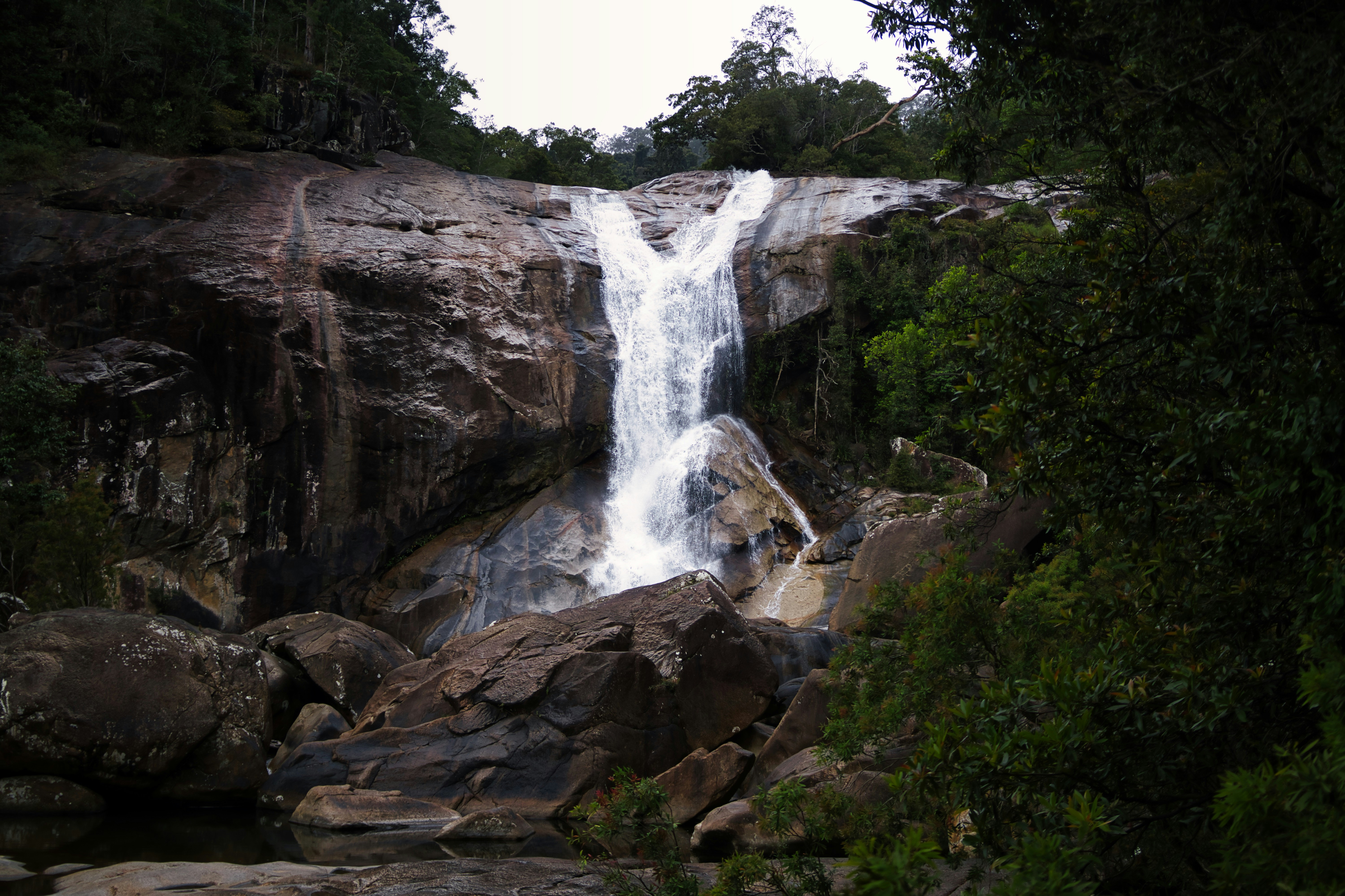 Photo by paws_and_prints