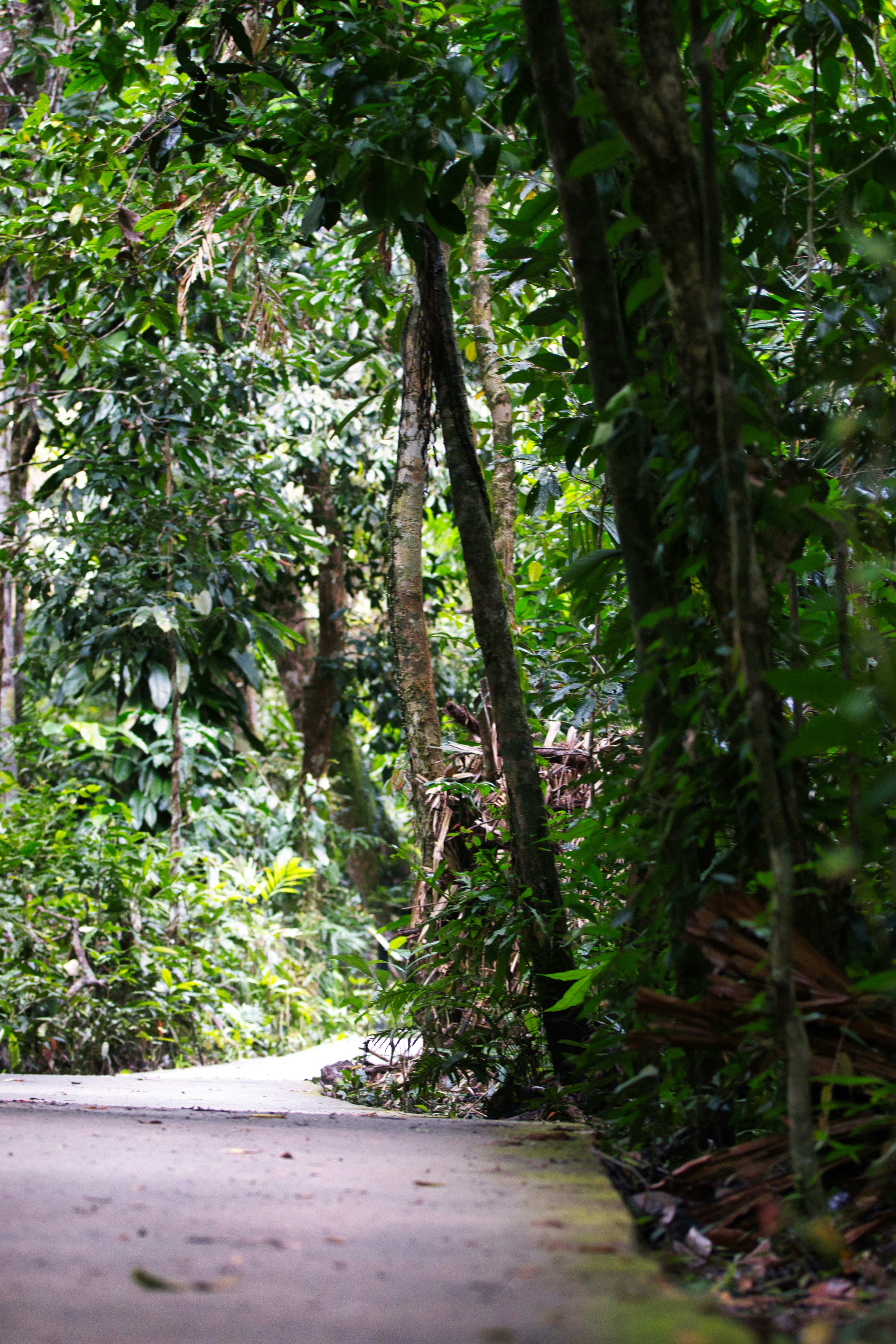 Photo by paws_and_prints