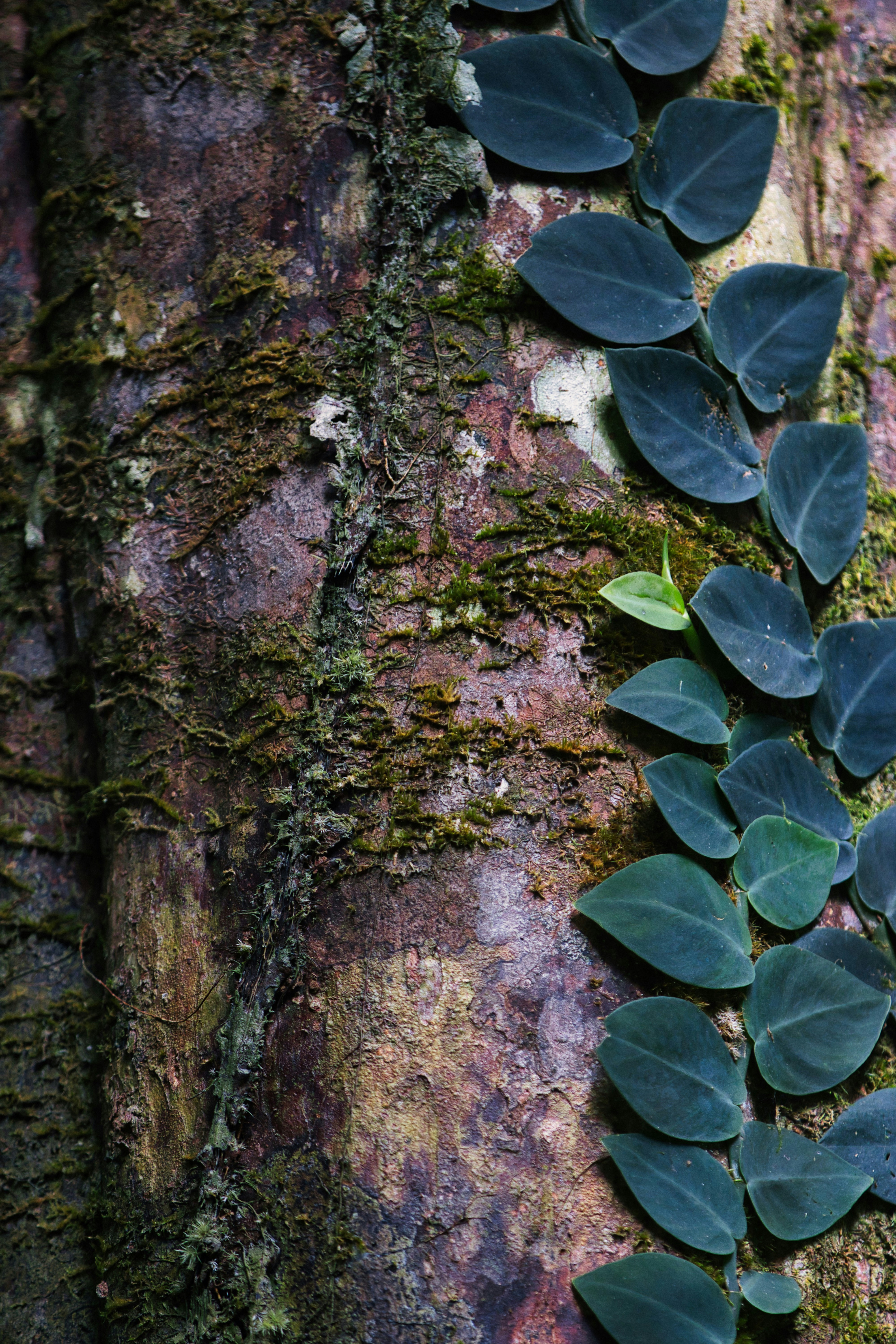 Photo by paws_and_prints