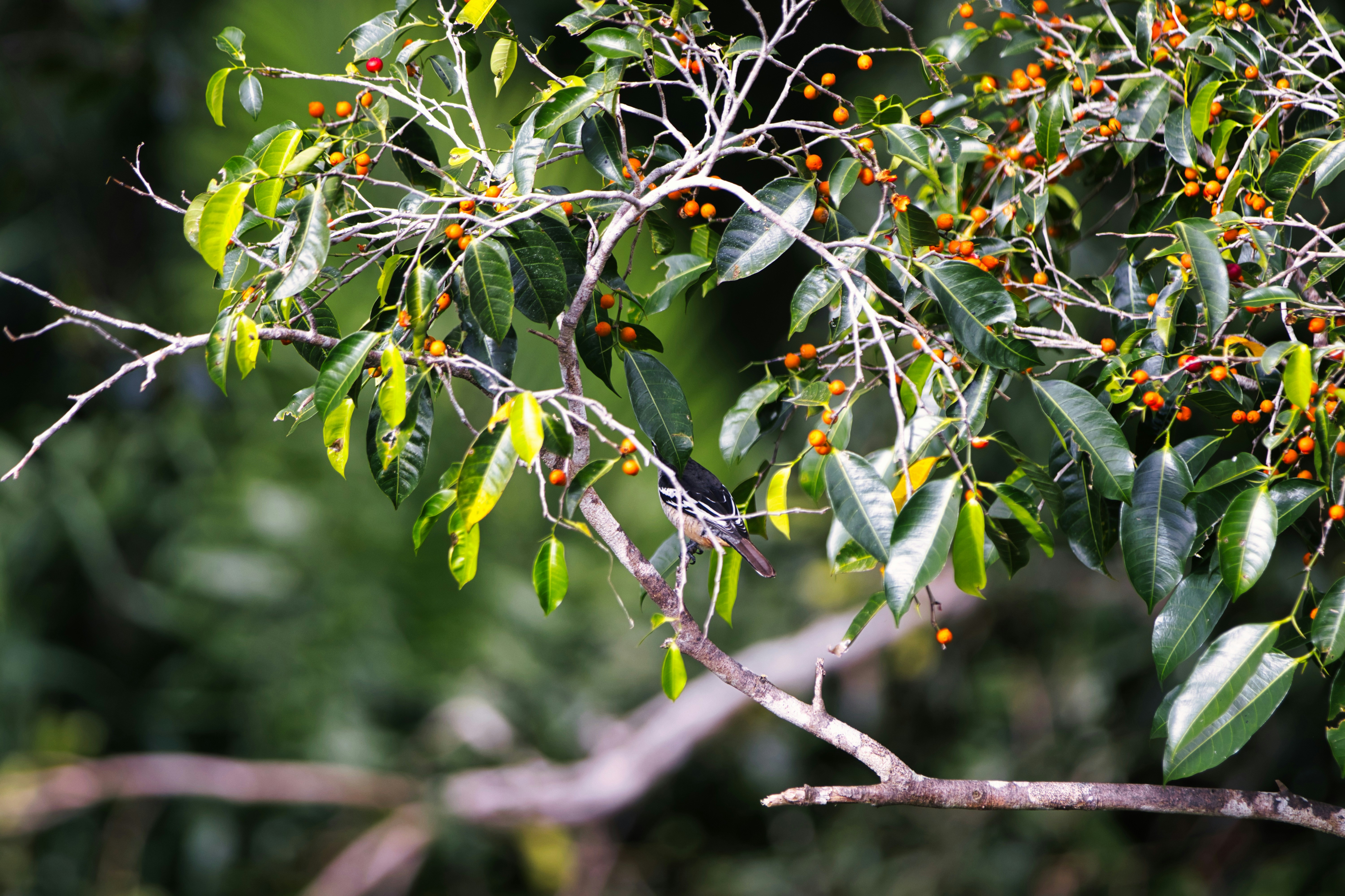 Photo by paws_and_prints