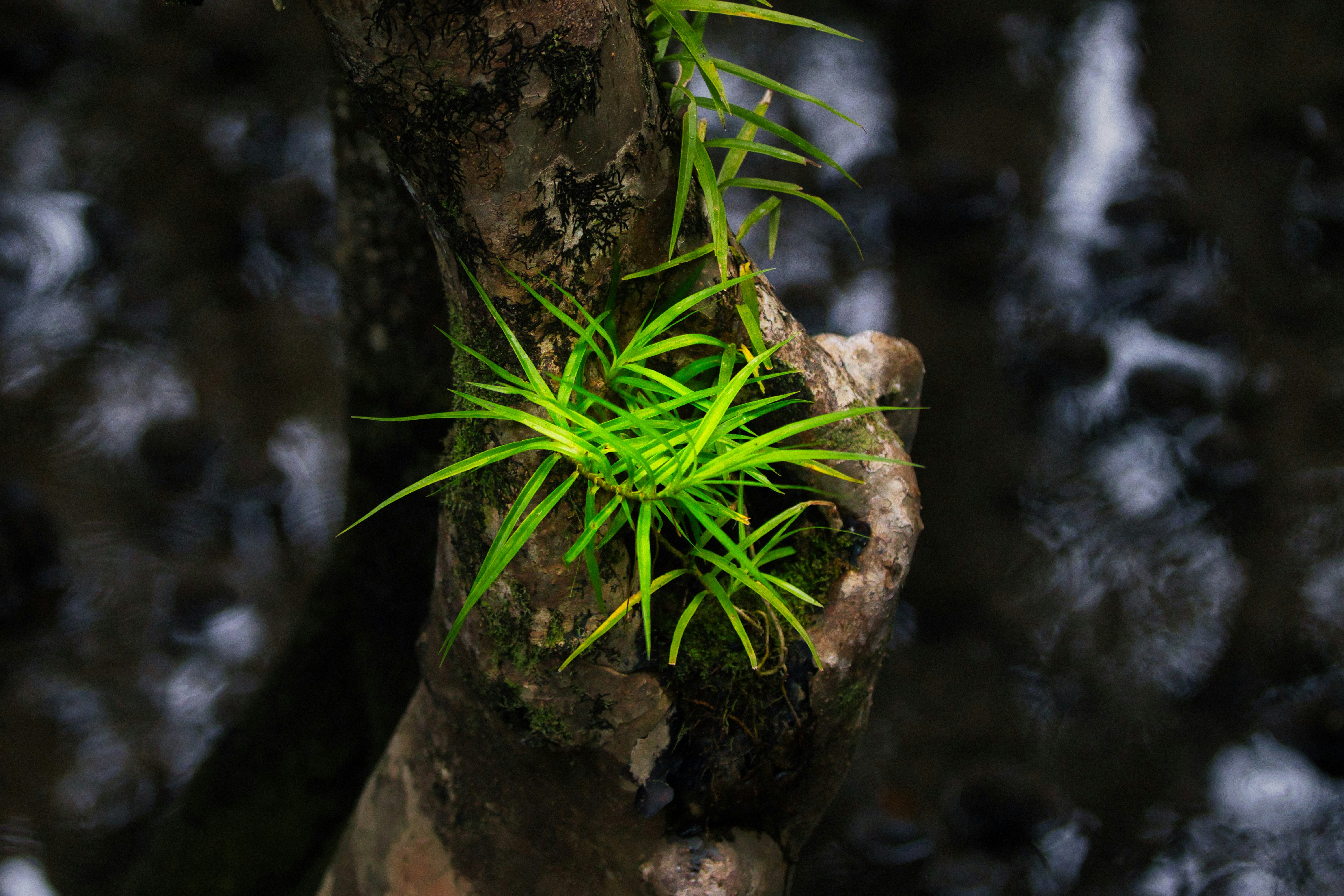 Photo by paws_and_prints