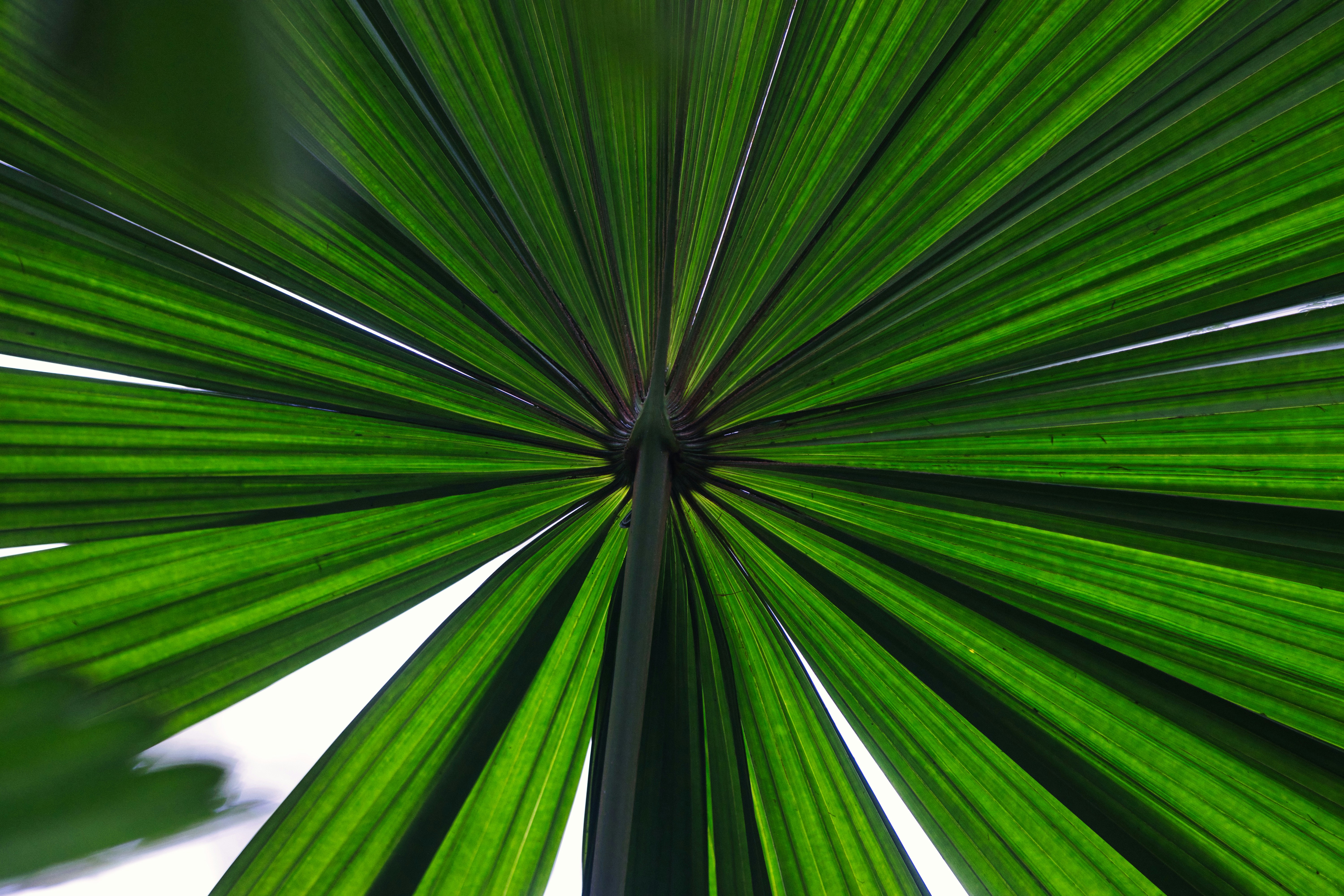 Photo by paws_and_prints