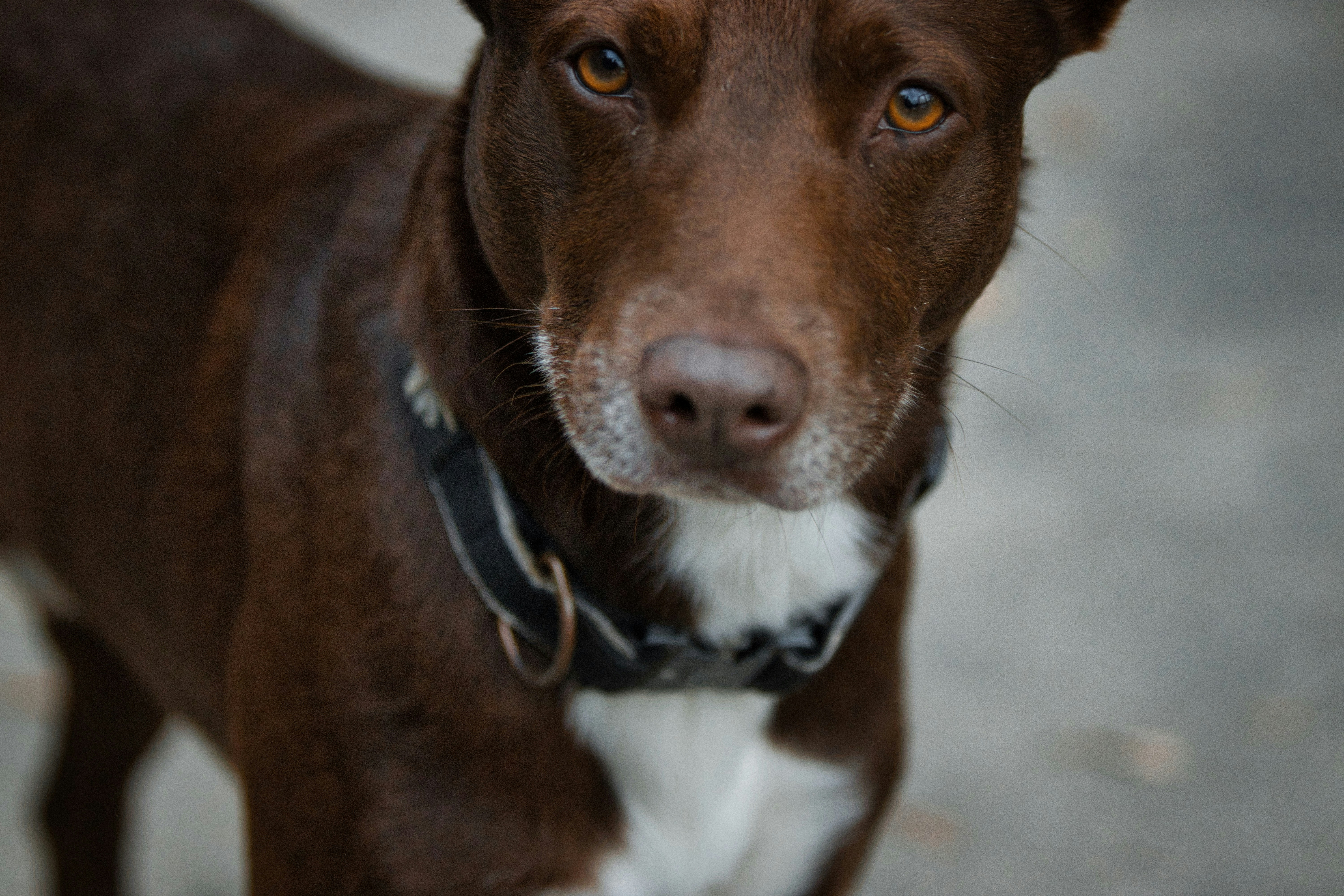 Photo by paws_and_prints