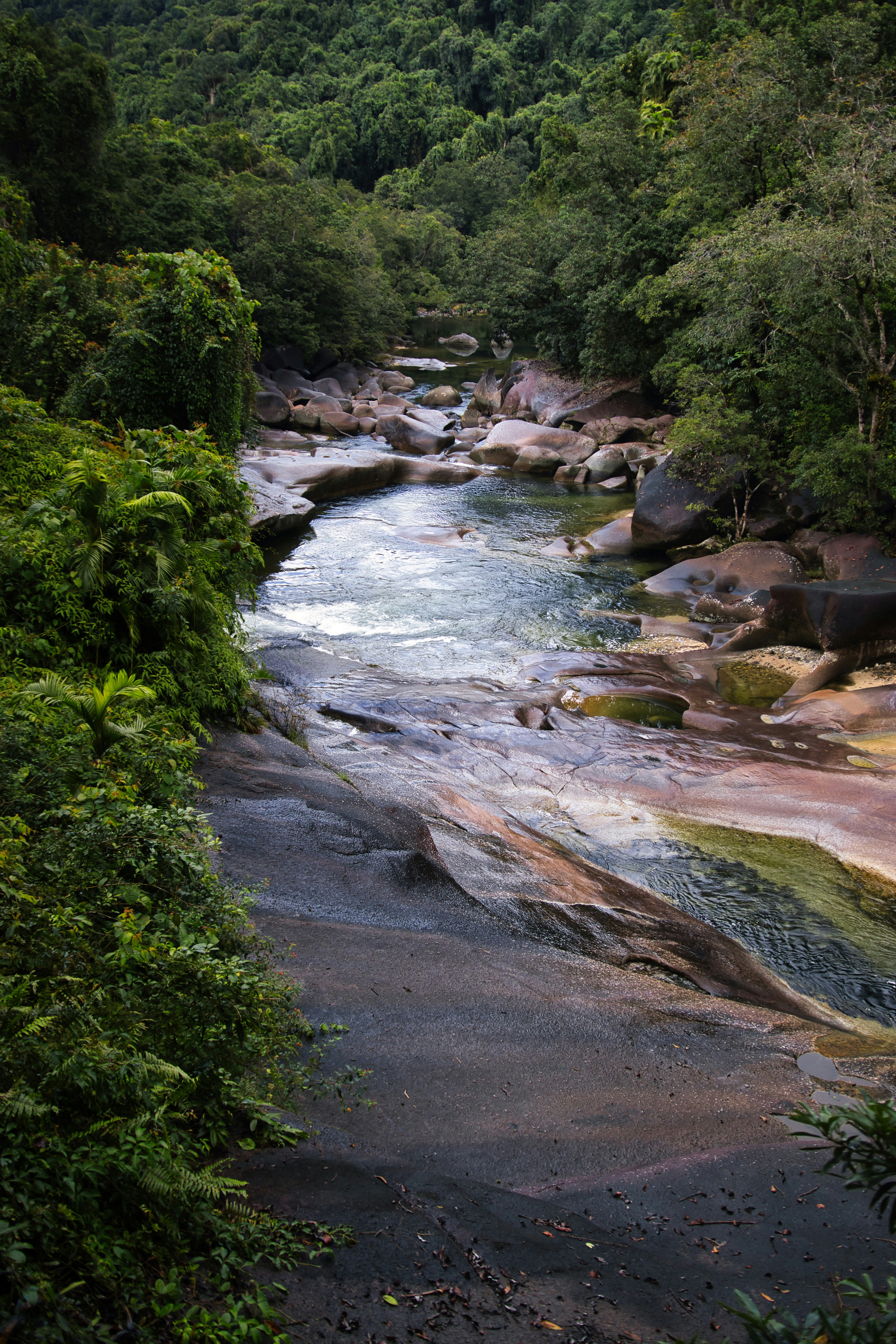 Photo by paws_and_prints