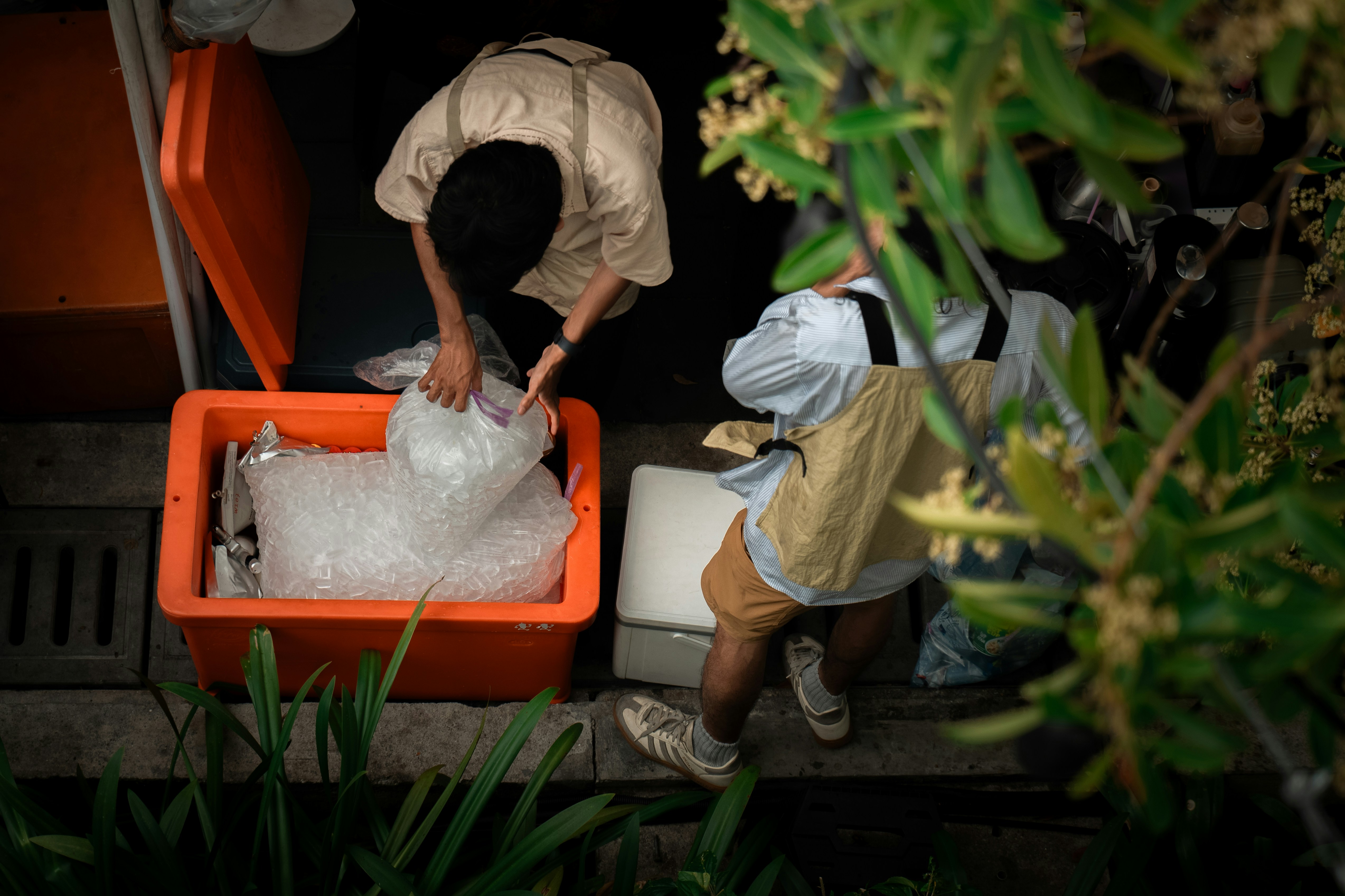 People packing fish into an orange cooler.