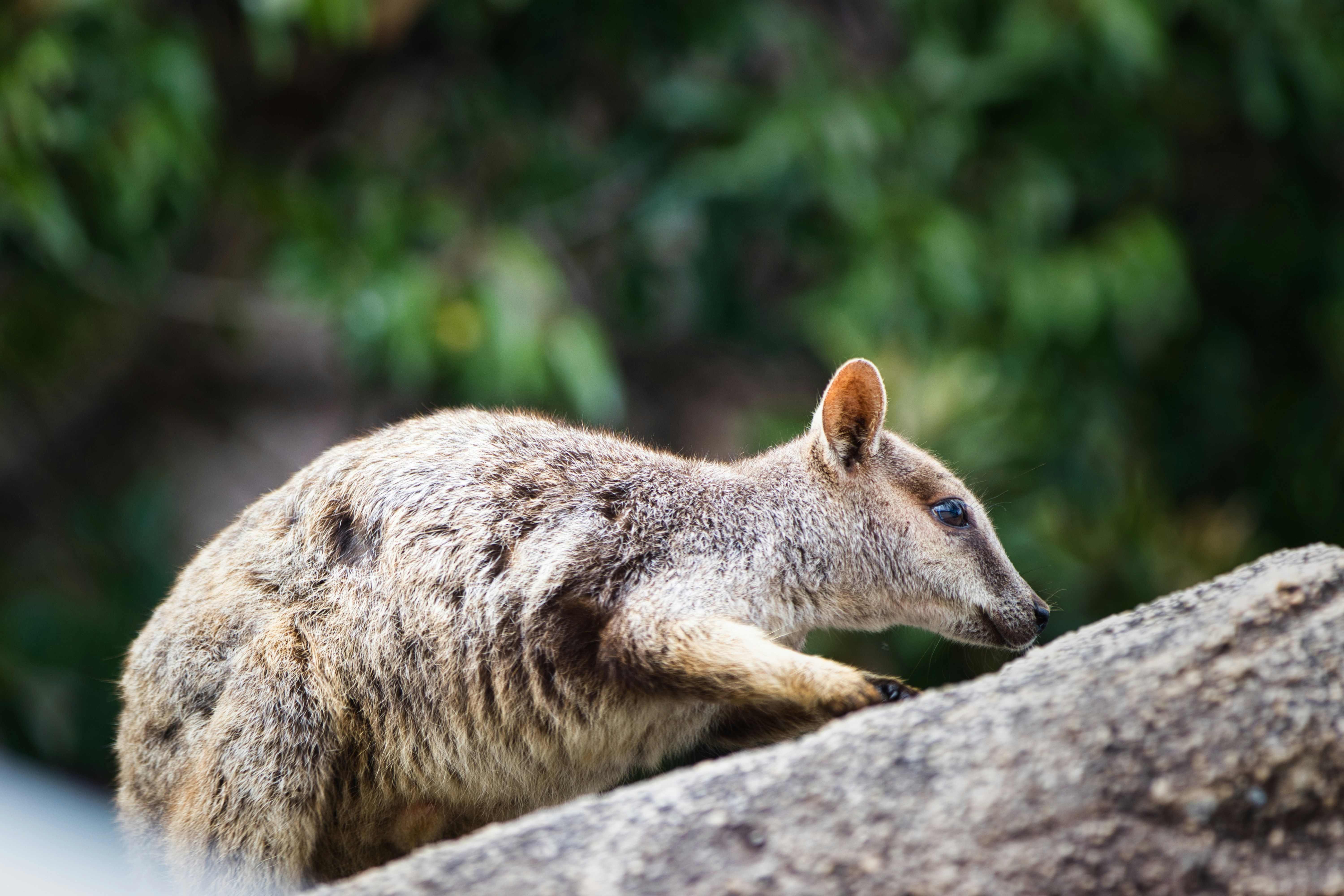 Photo by paws_and_prints