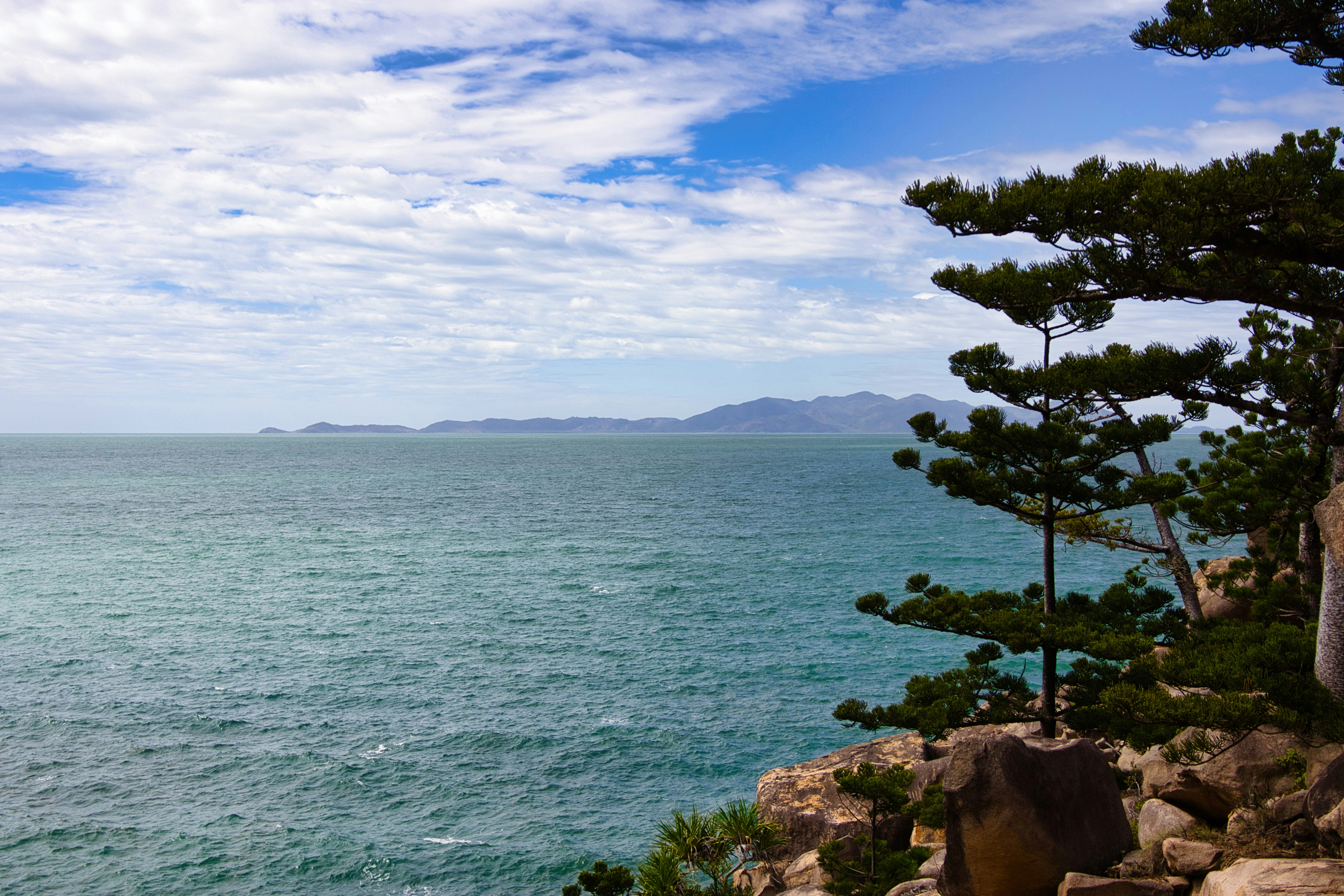 Photo by paws_and_prints