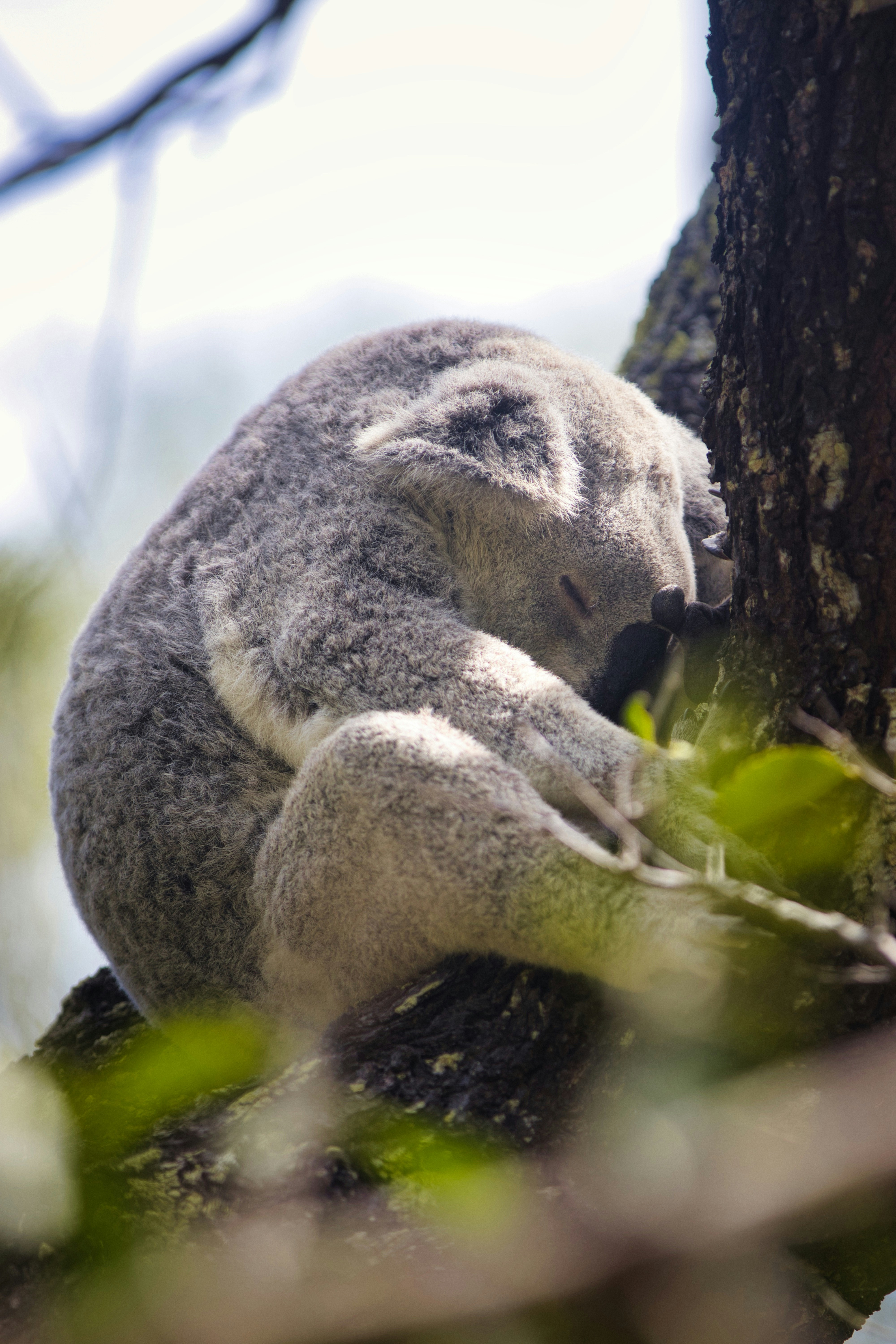 Photo by paws_and_prints