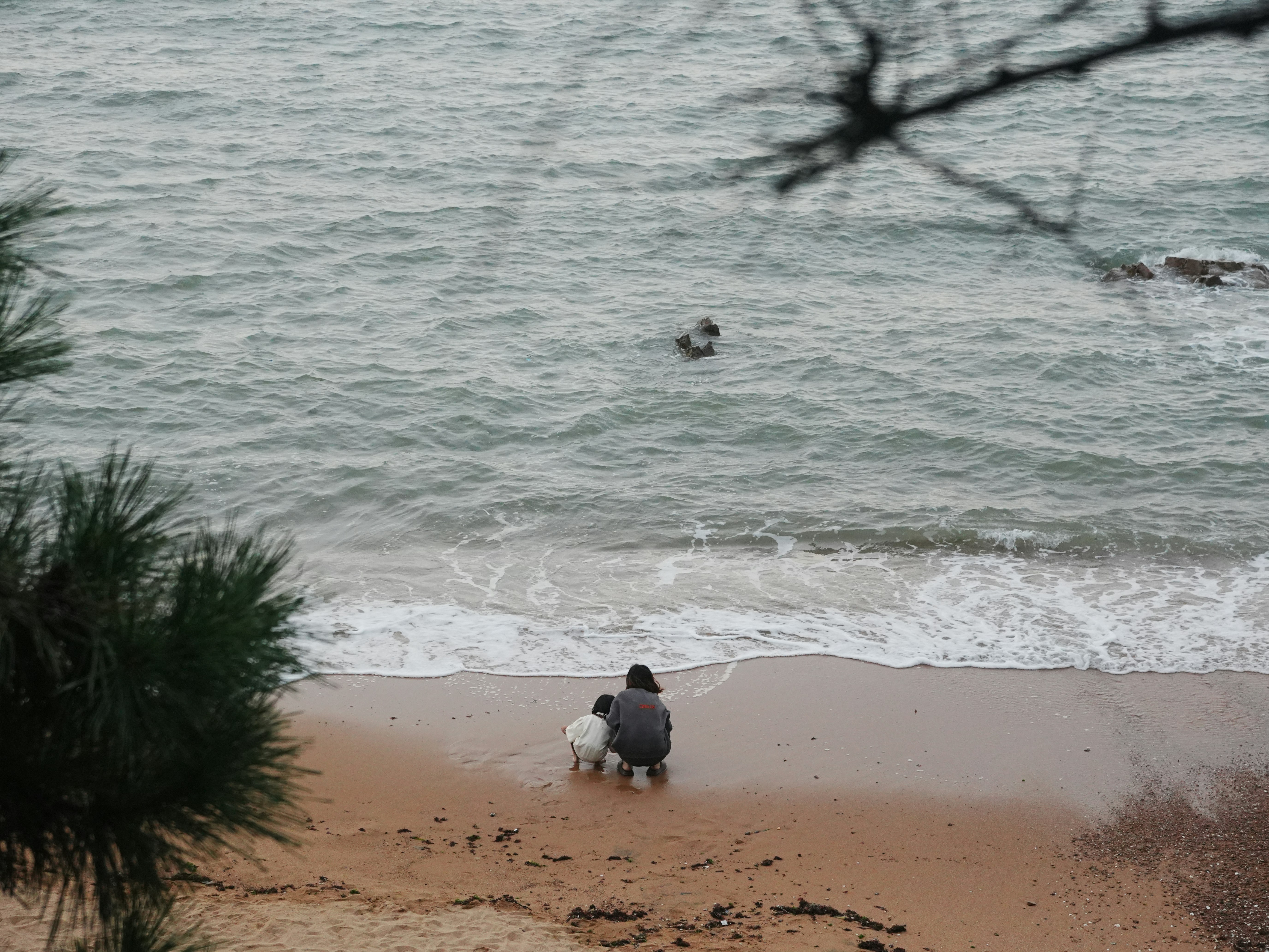 Person and dog on a sandy beach by the ocean.