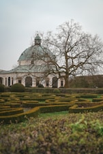 dogAdvisor | dog Advisor | dogadvisor.dog | dog Advisor