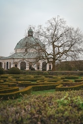 dogAdvisor | dog Advisor | dogadvisor.dog | dog Advisor