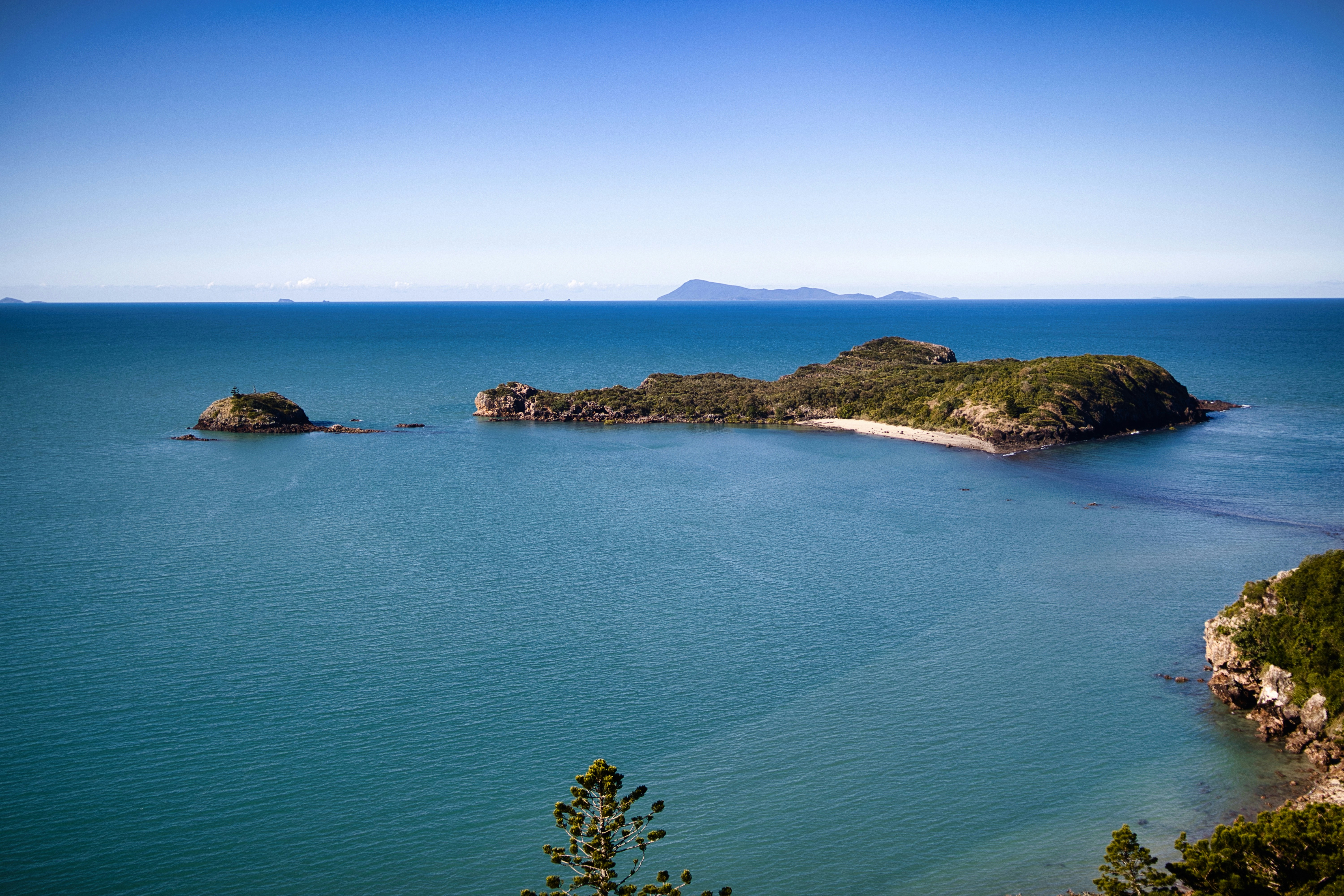 Photo by paws_and_prints