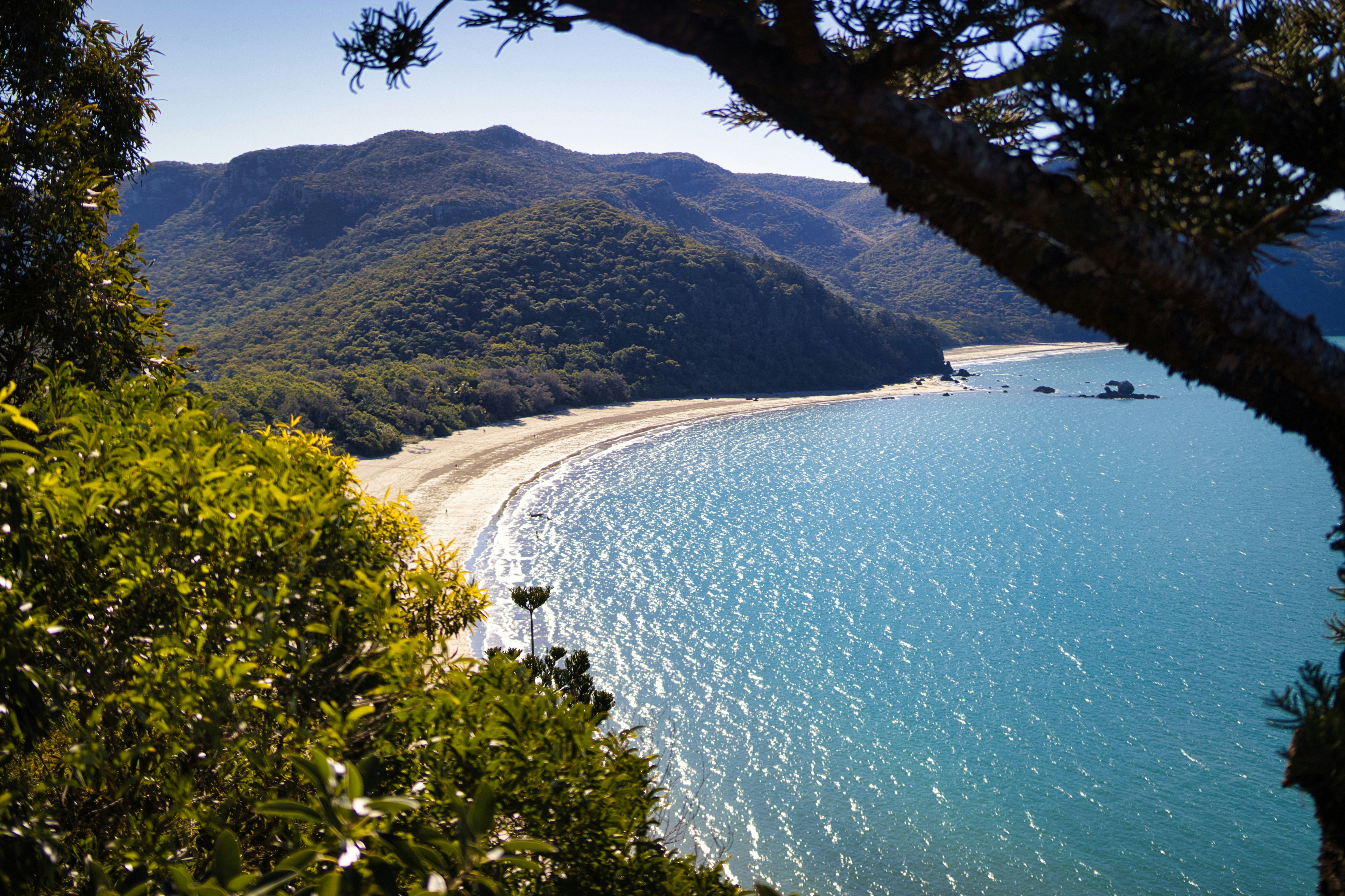 Photo by paws_and_prints