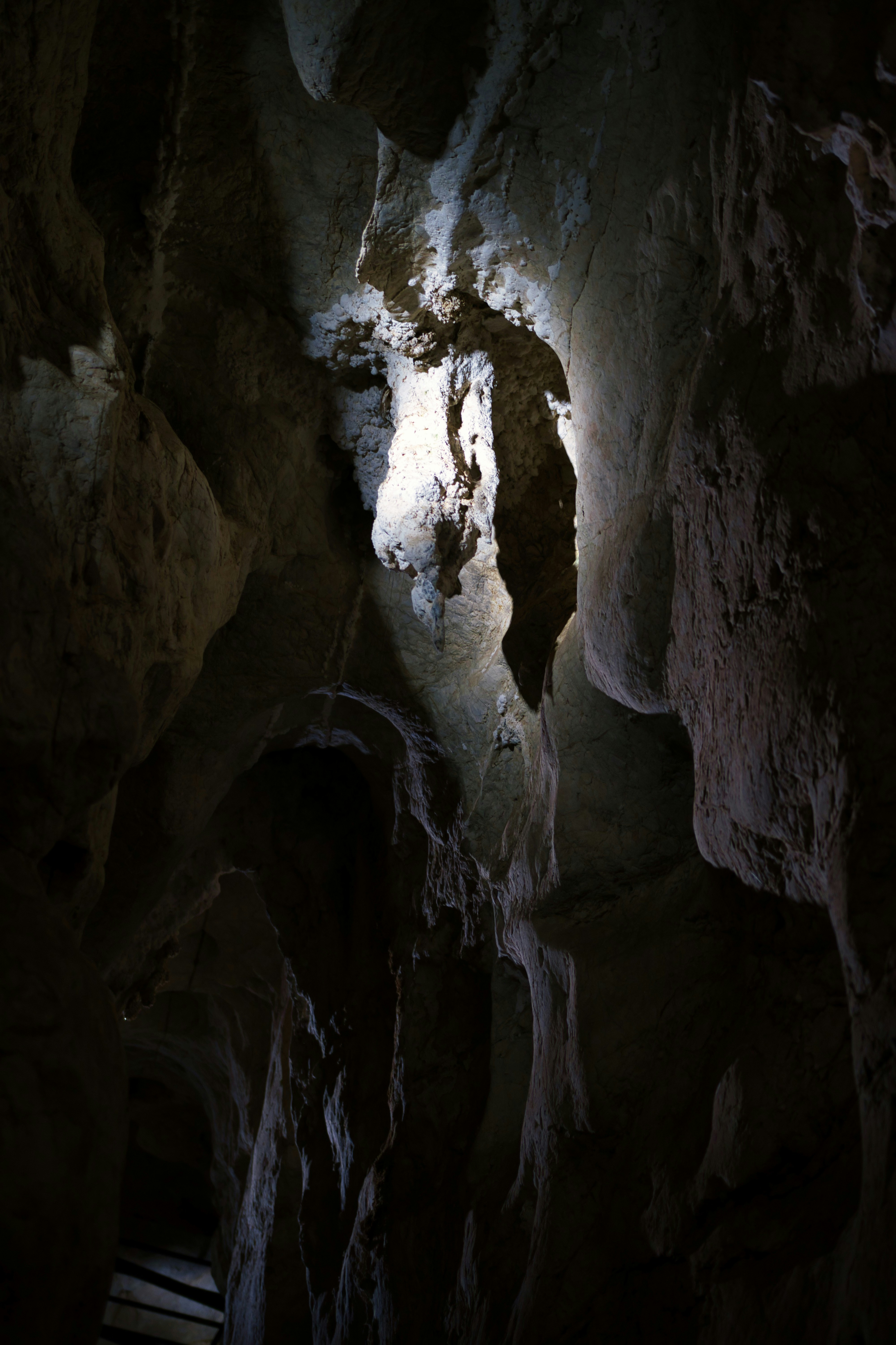 Photo by paws_and_prints