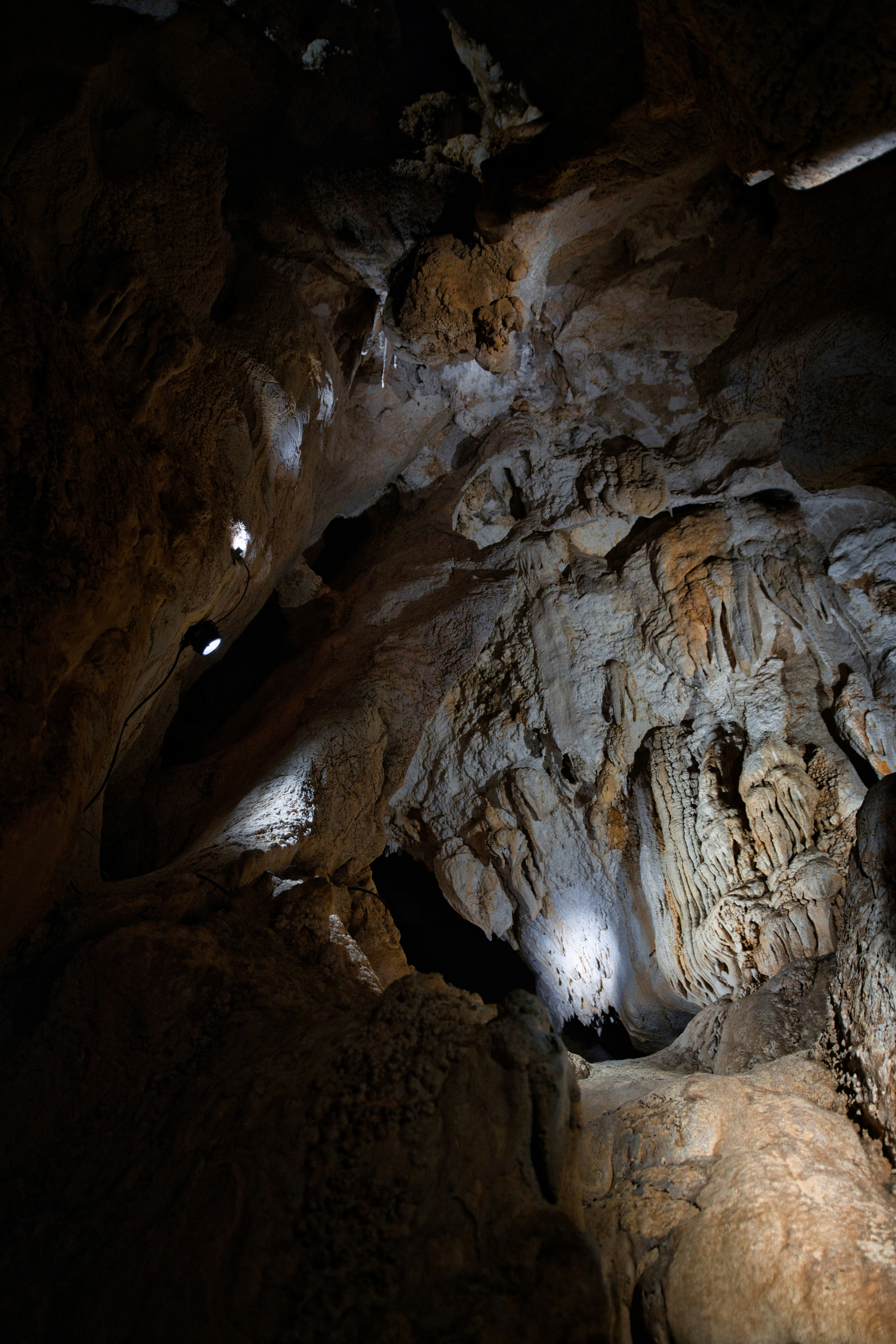 Photo by paws_and_prints