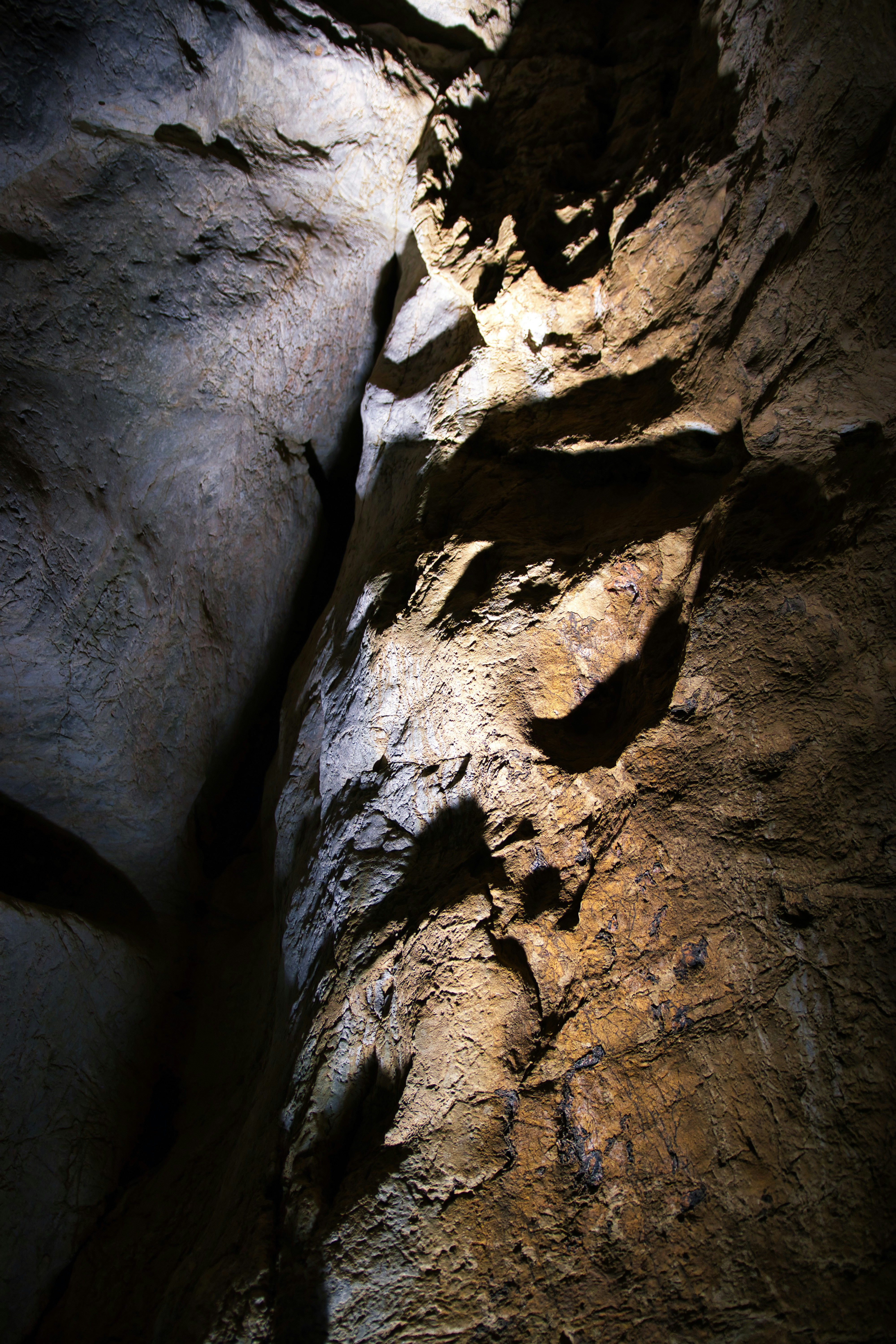 Photo by paws_and_prints