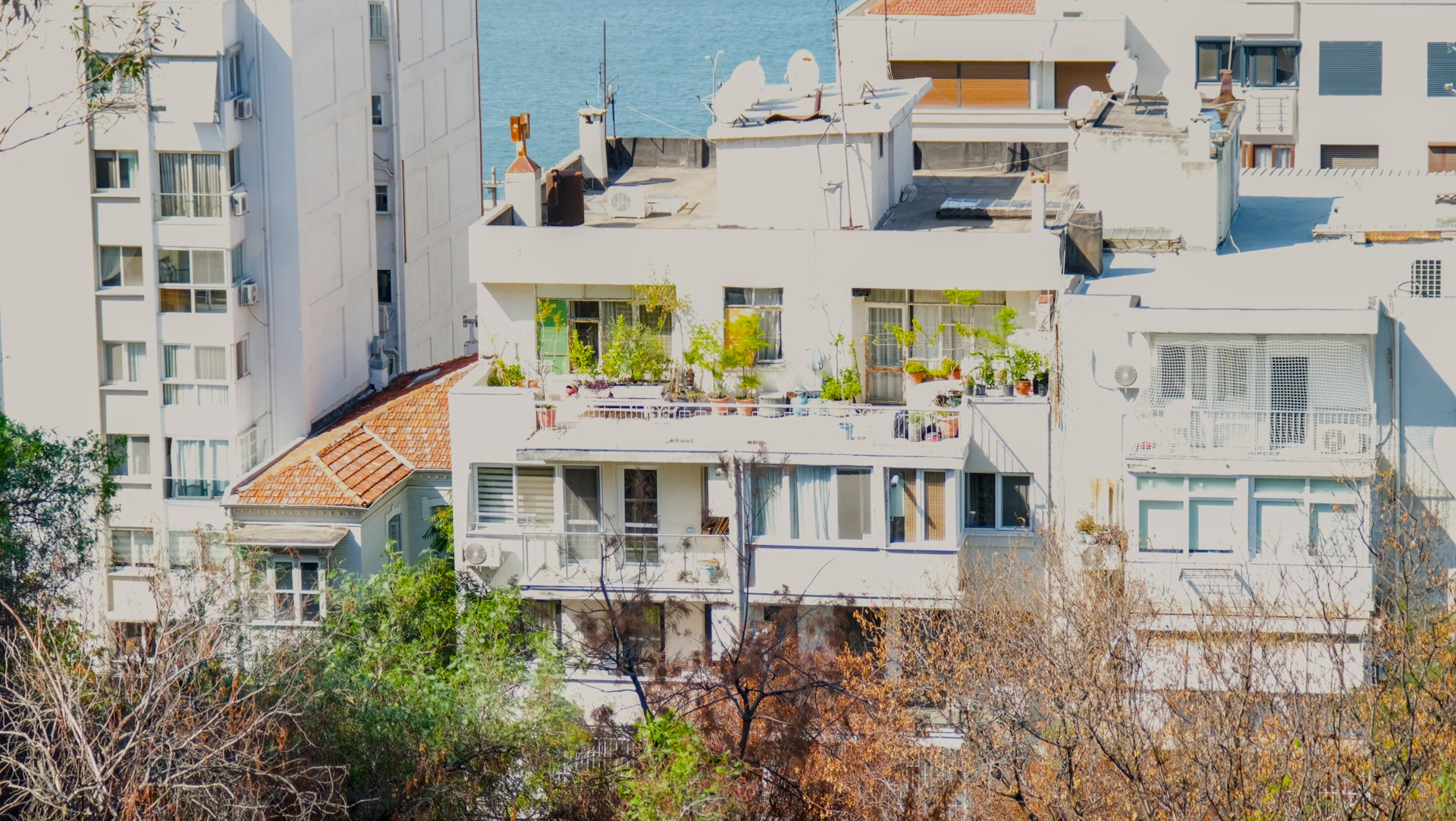 Apartment buildings with planted balconies