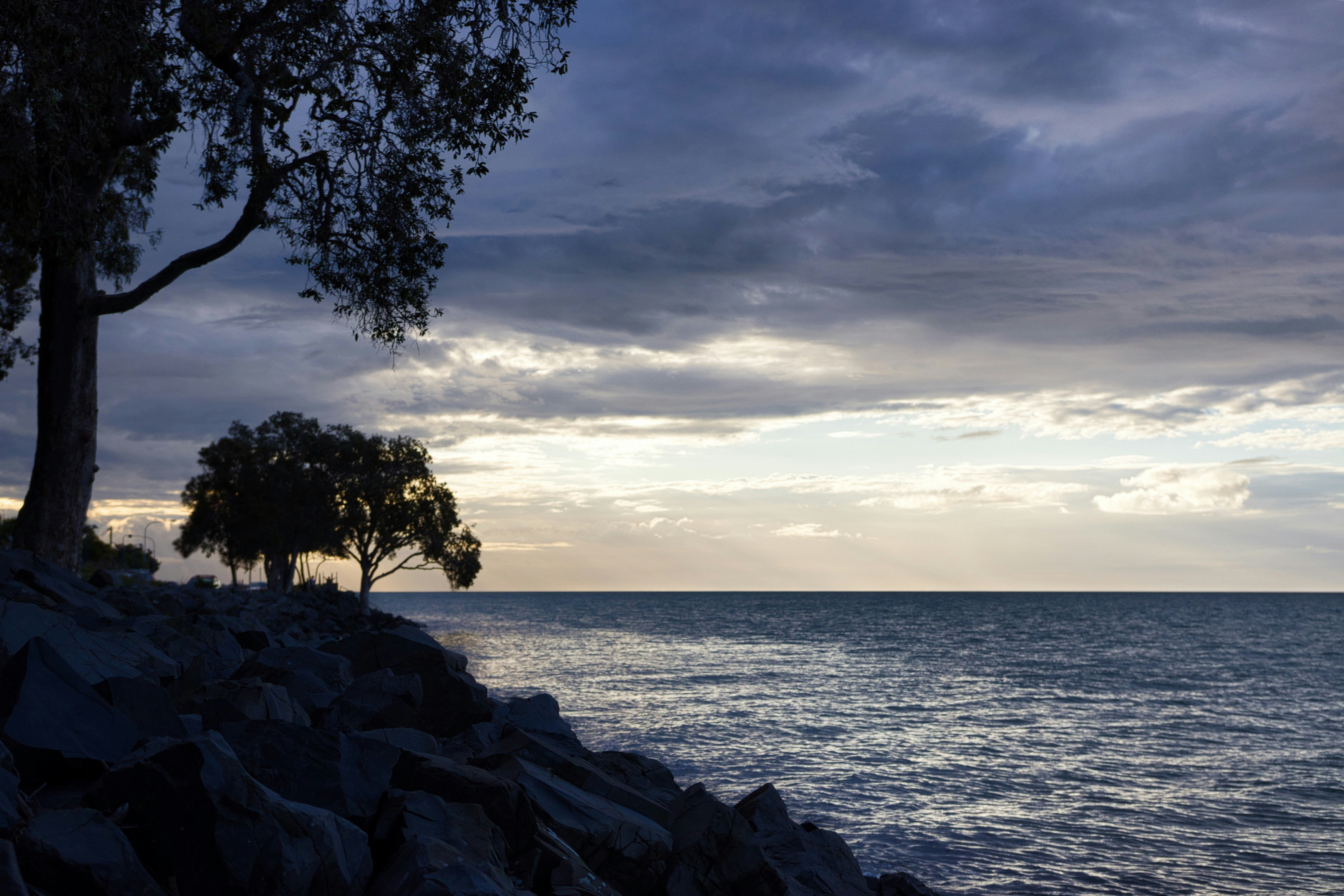 Photo by paws_and_prints