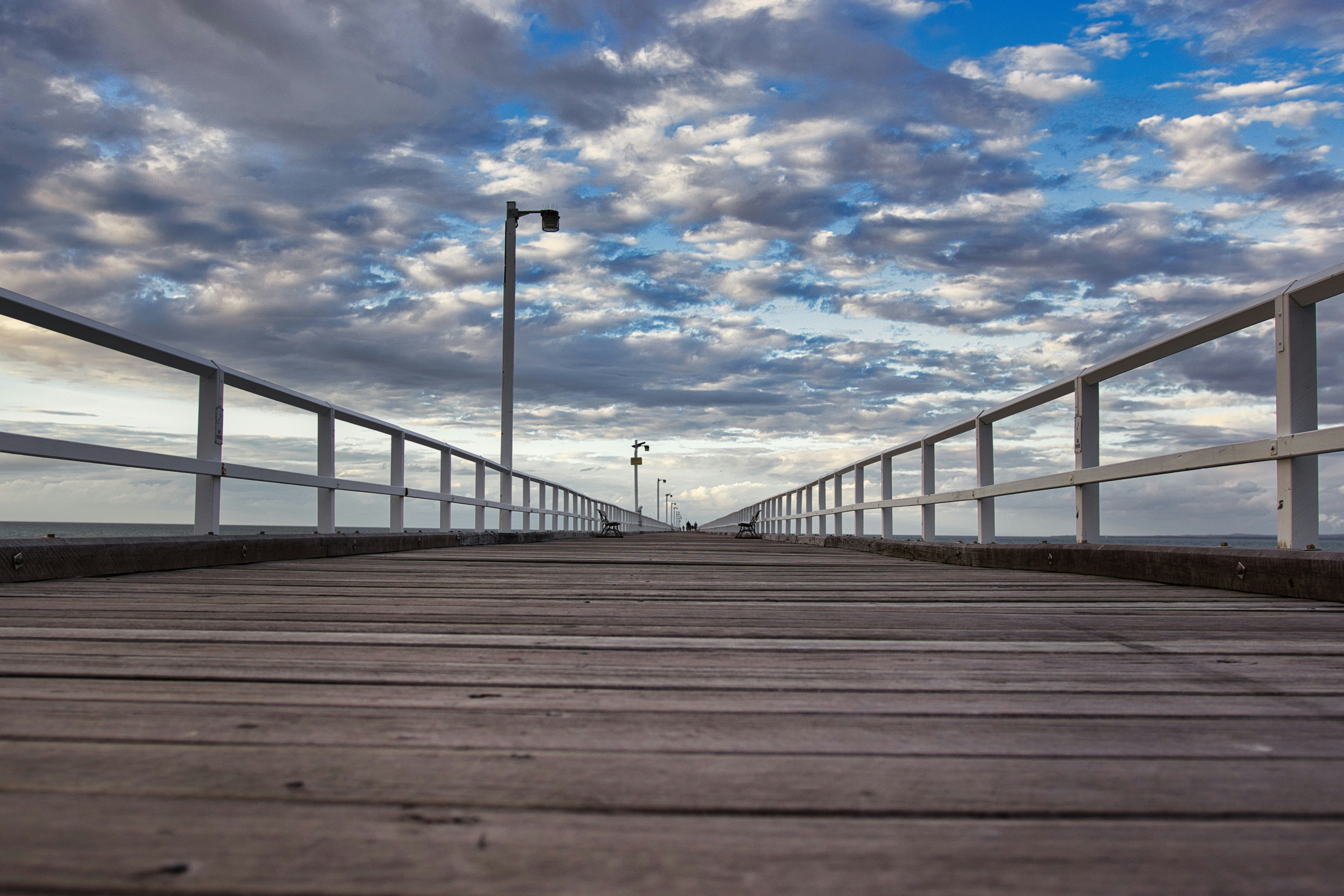 Photo by paws_and_prints