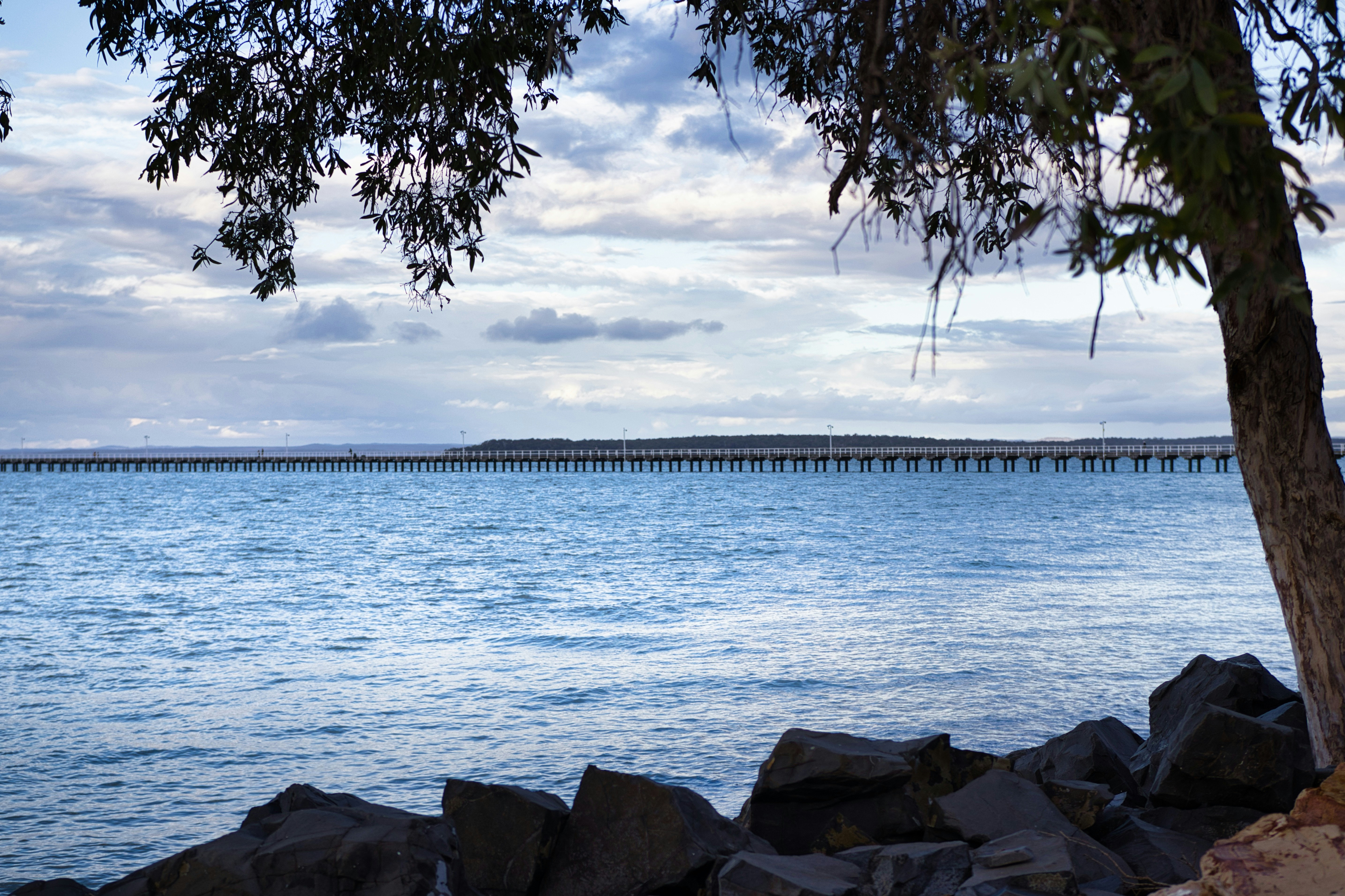 Photo by paws_and_prints