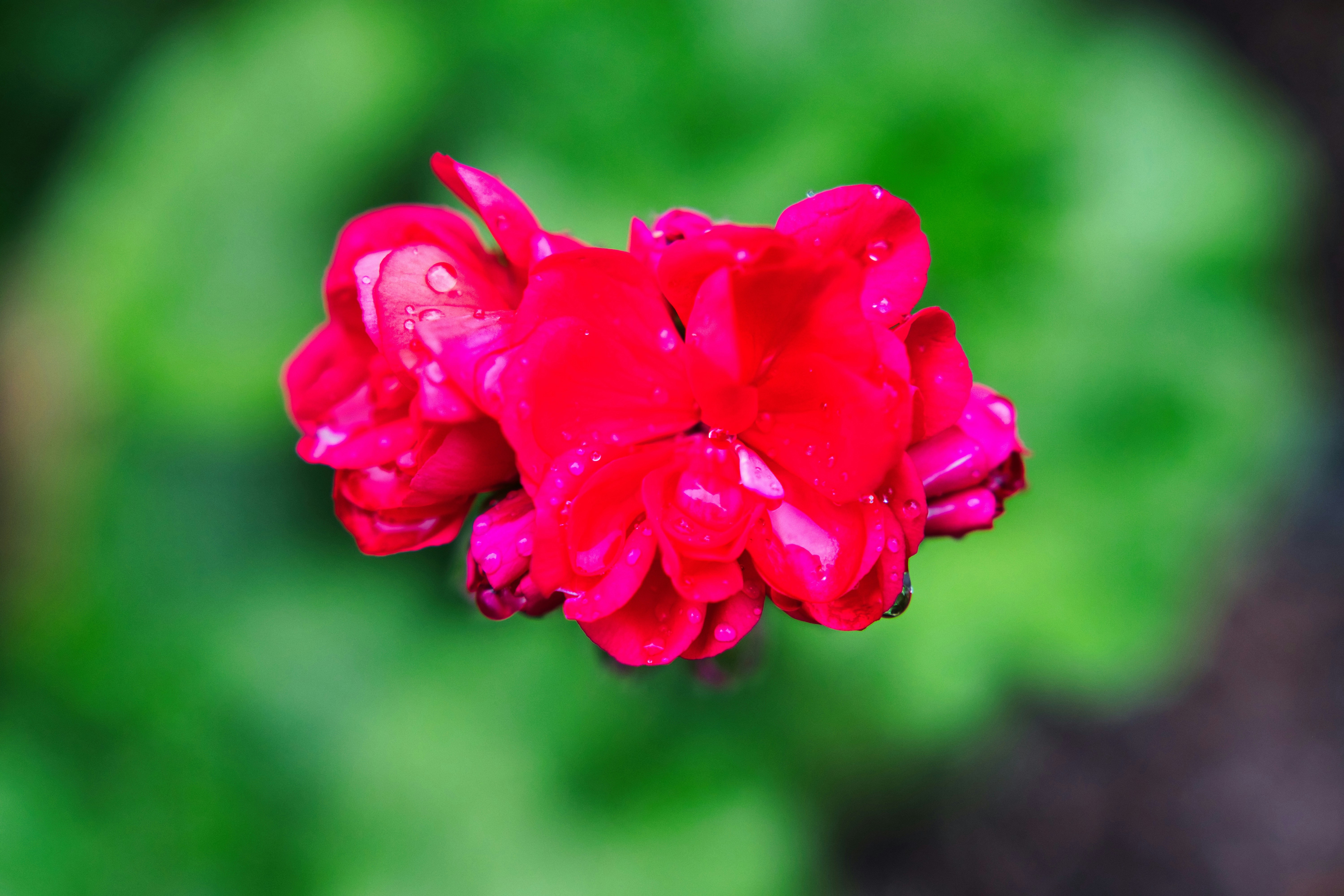 Photo by paws_and_prints