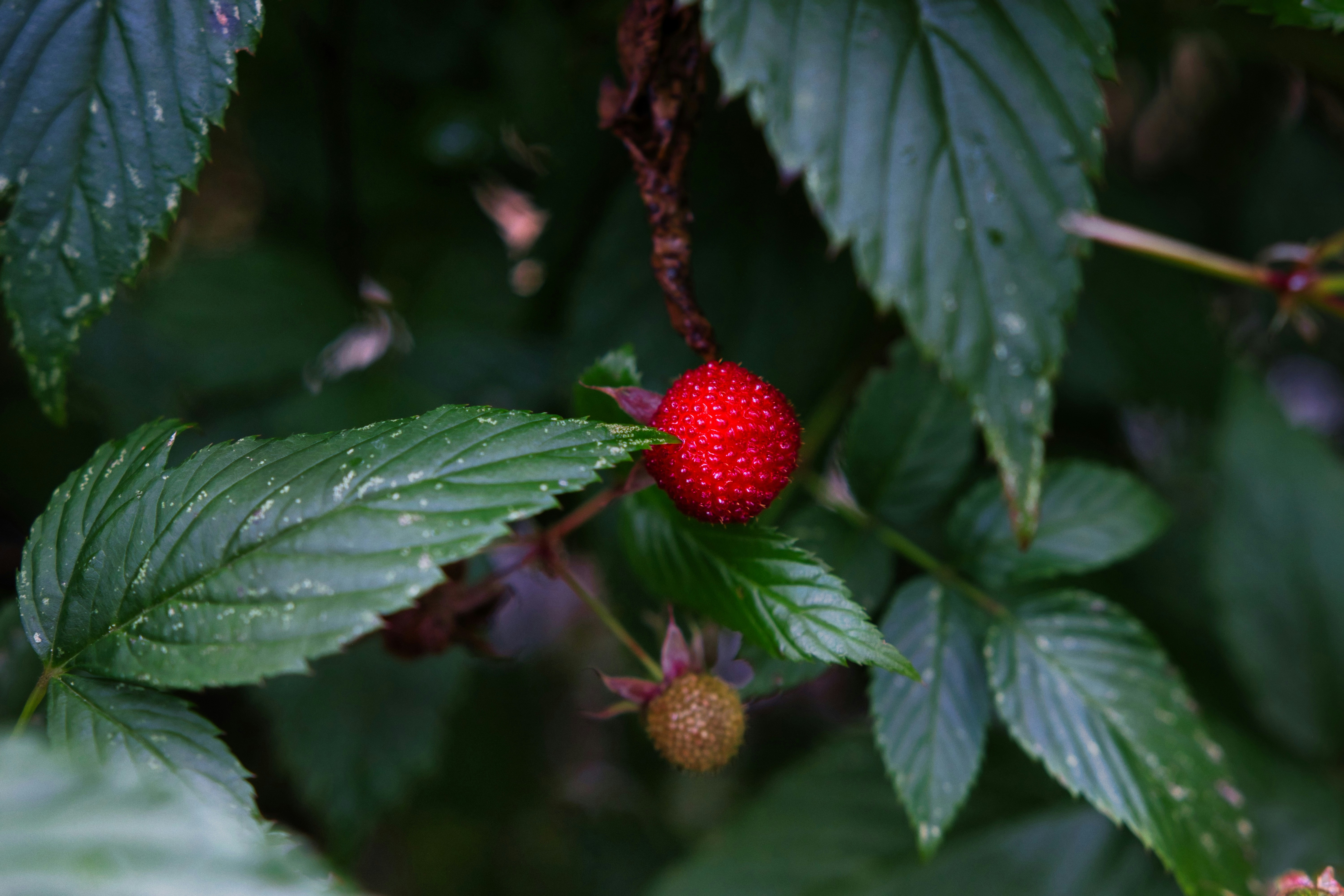 Photo by paws_and_prints