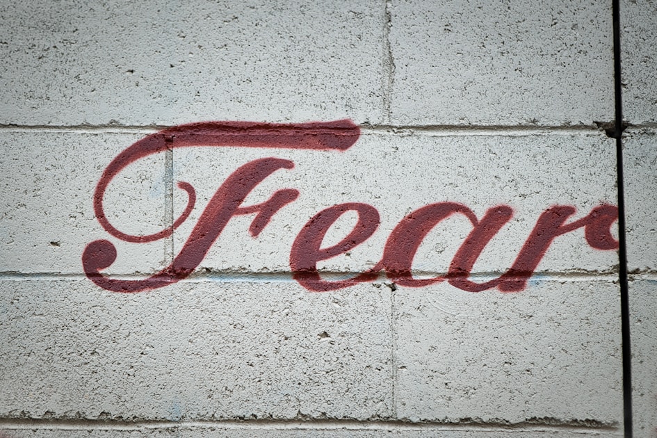 The Great Stay 2026: Fear, Not Loyalty, Is Keeping You Stuck — Which Career Type Are You?